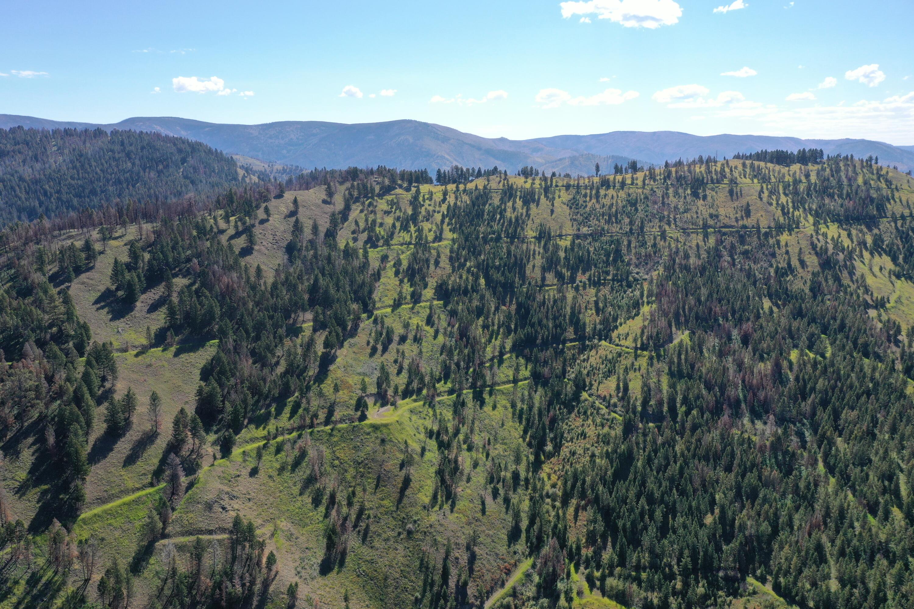 Tbd Pine Creek Rd Property Photo 9