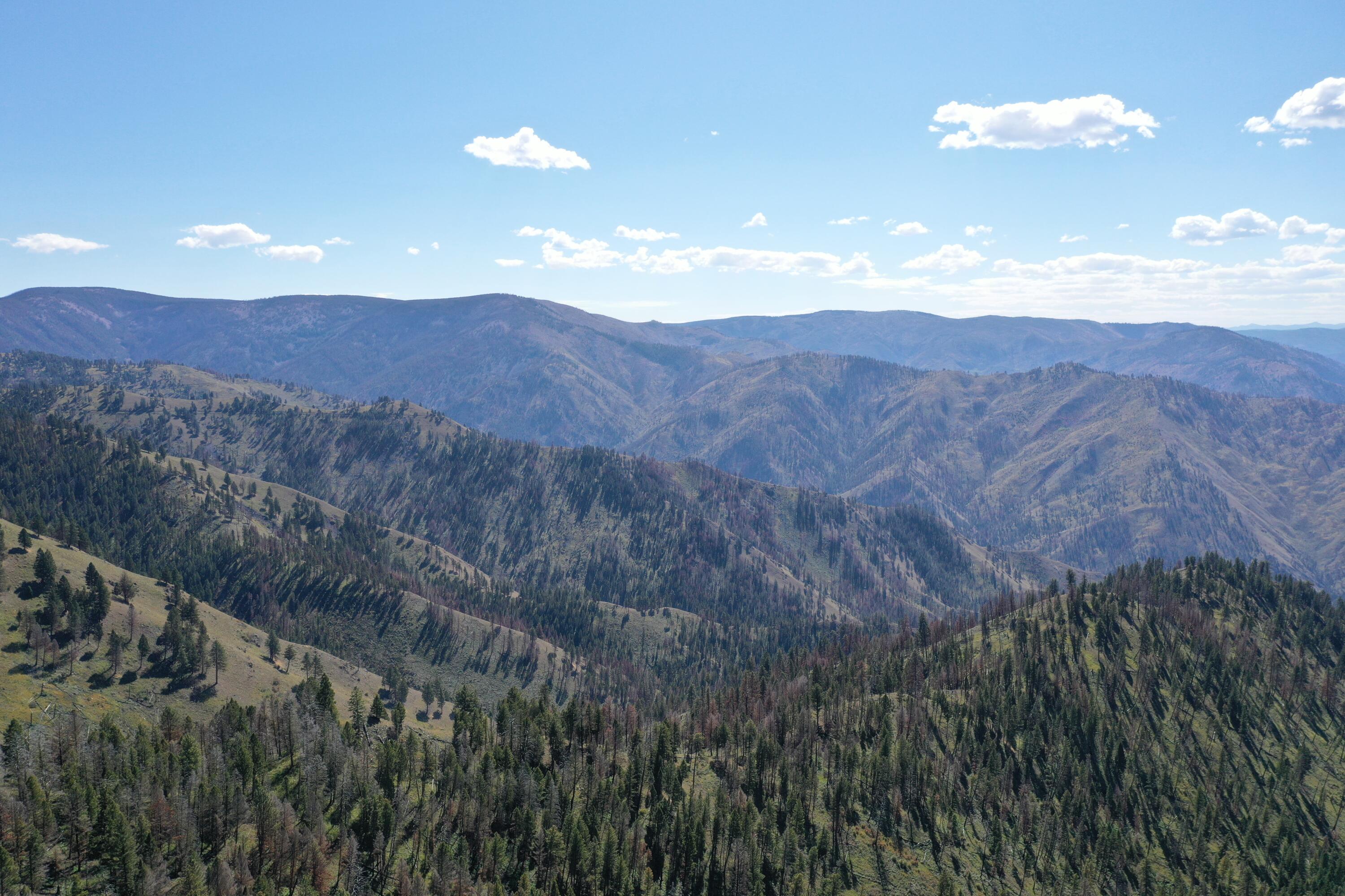 Tbd Pine Creek Rd Property Photo 10