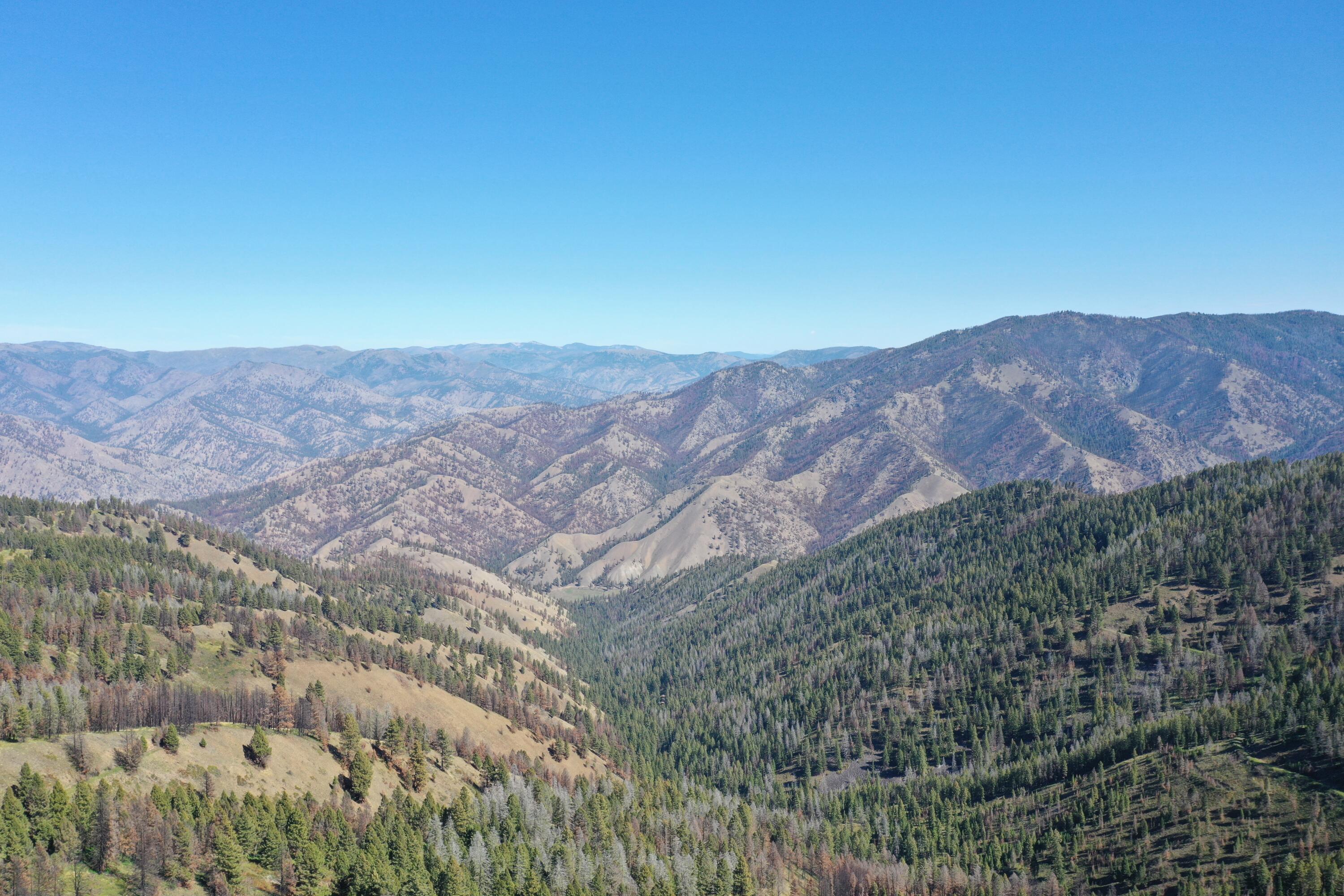 Tbd Pine Creek Rd Property Photo 11