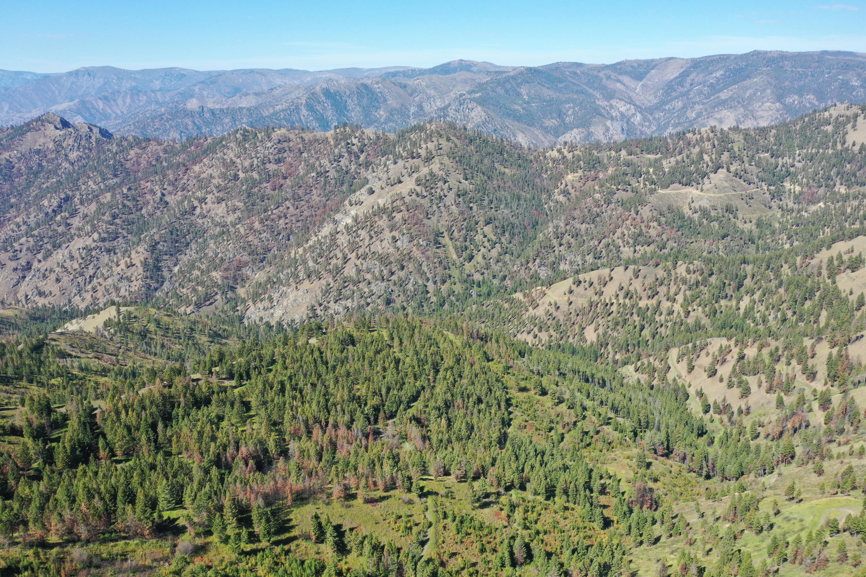 Tbd Pine Creek Rd Property Photo 12