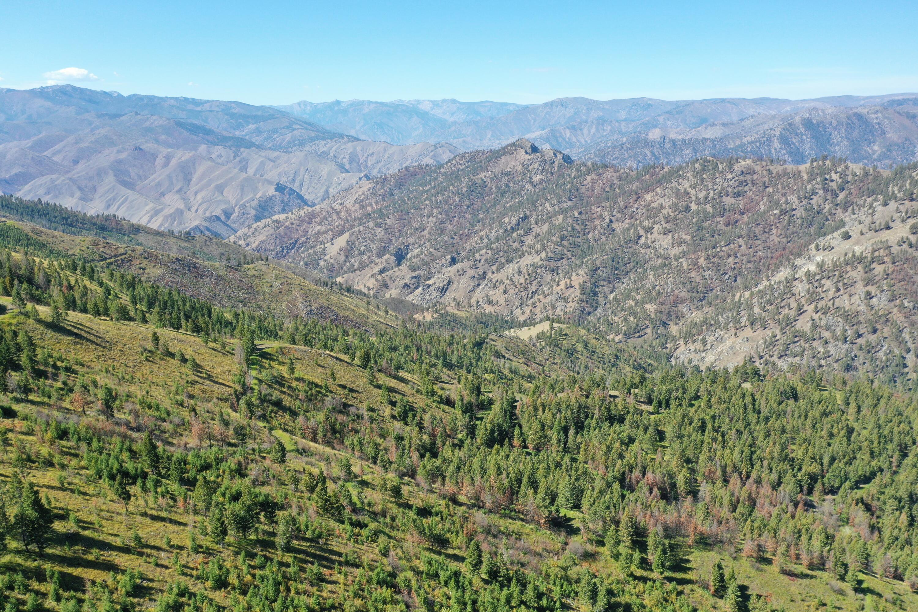 Tbd Pine Creek Rd Property Photo 13