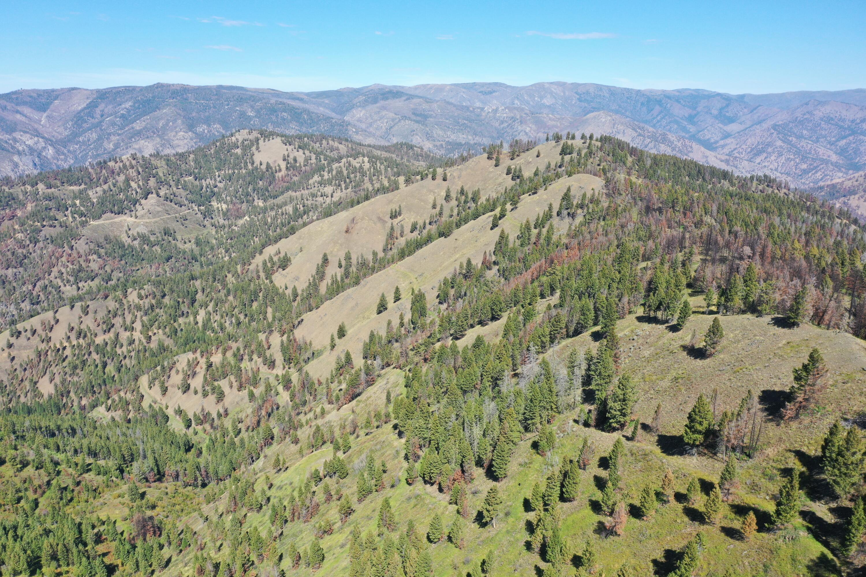 Tbd Pine Creek Rd Property Photo 14