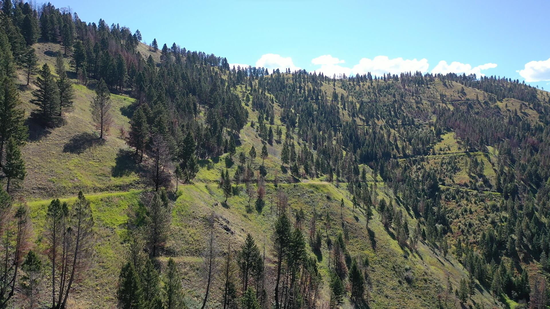 Tbd Pine Creek Rd Property Photo 15
