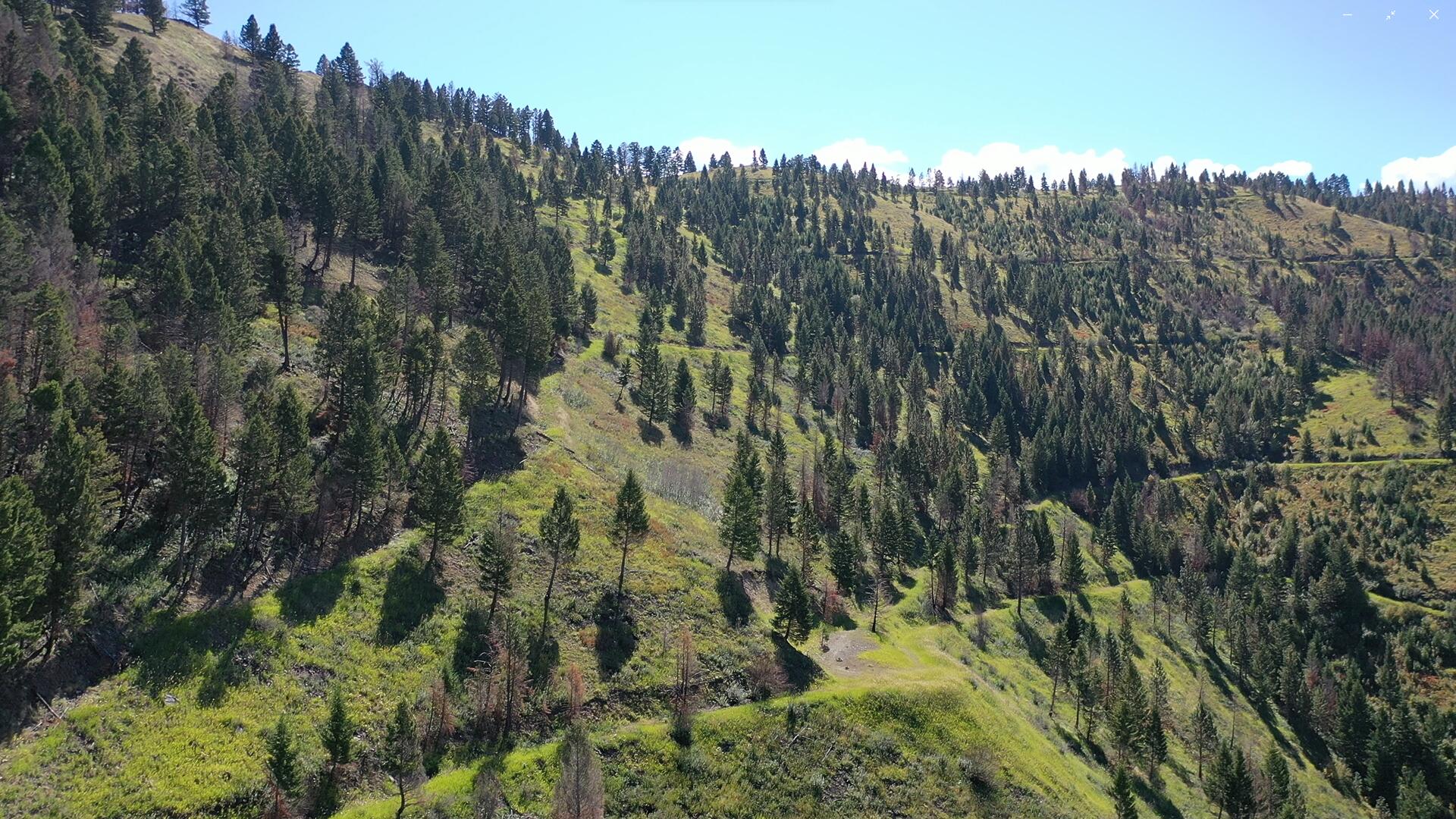 Tbd Pine Creek Rd Property Photo 16