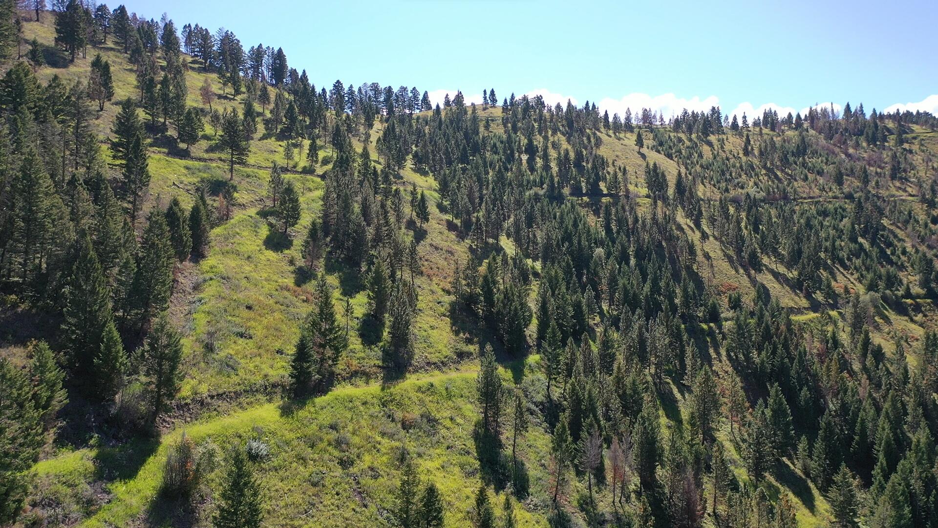 Tbd Pine Creek Rd Property Photo 17