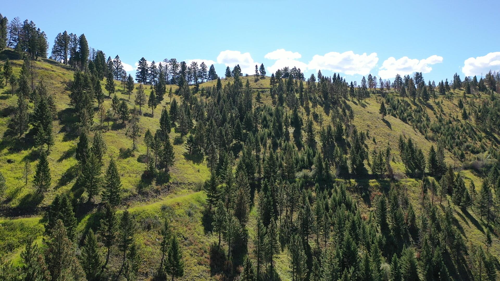 Tbd Pine Creek Rd Property Photo 18