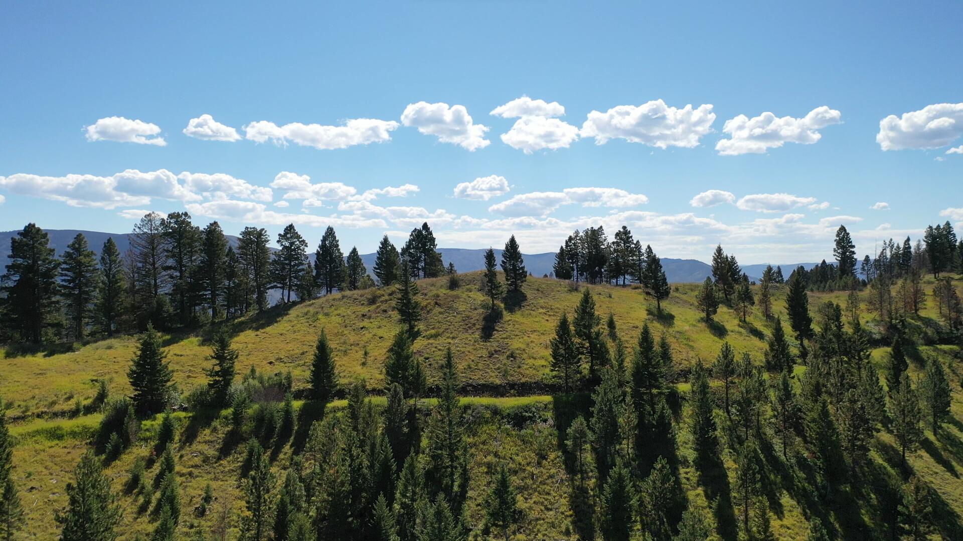 Tbd Pine Creek Rd Property Photo 19