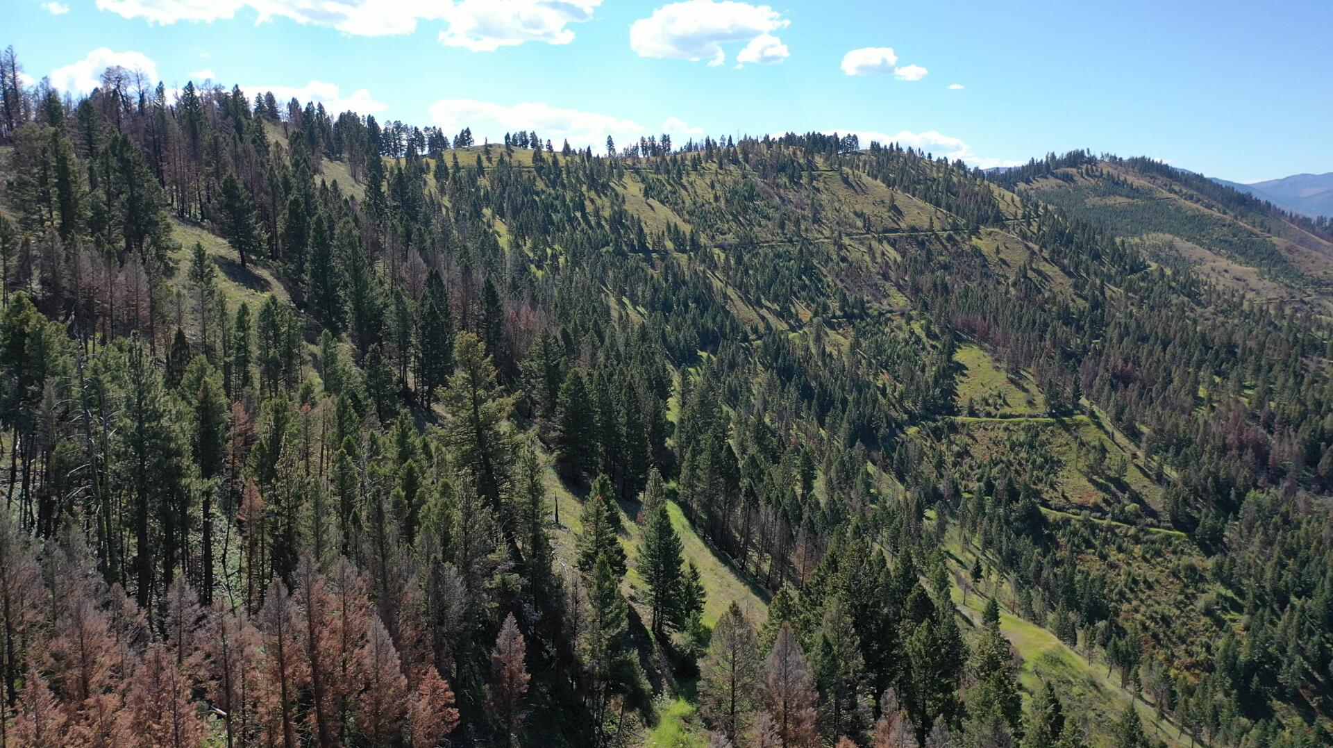 Tbd Pine Creek Rd Property Photo 20