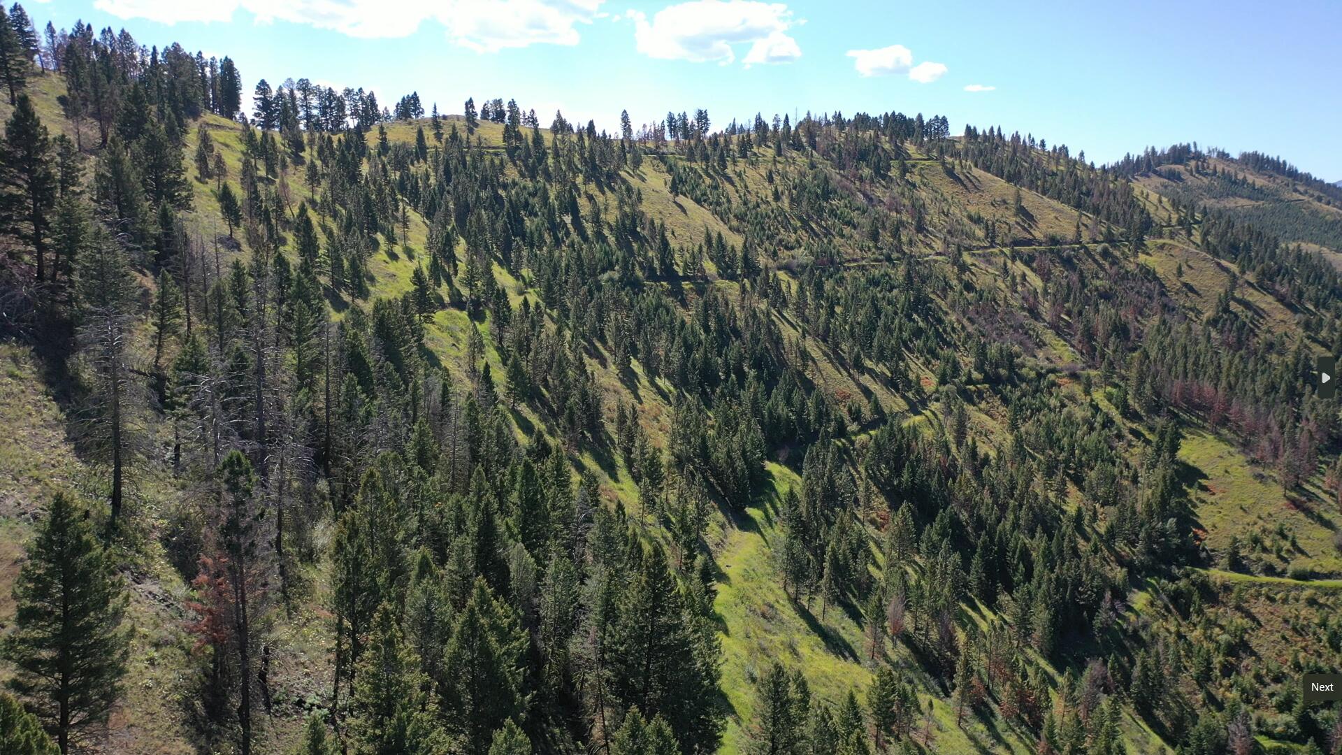 Tbd Pine Creek Rd Property Photo 21