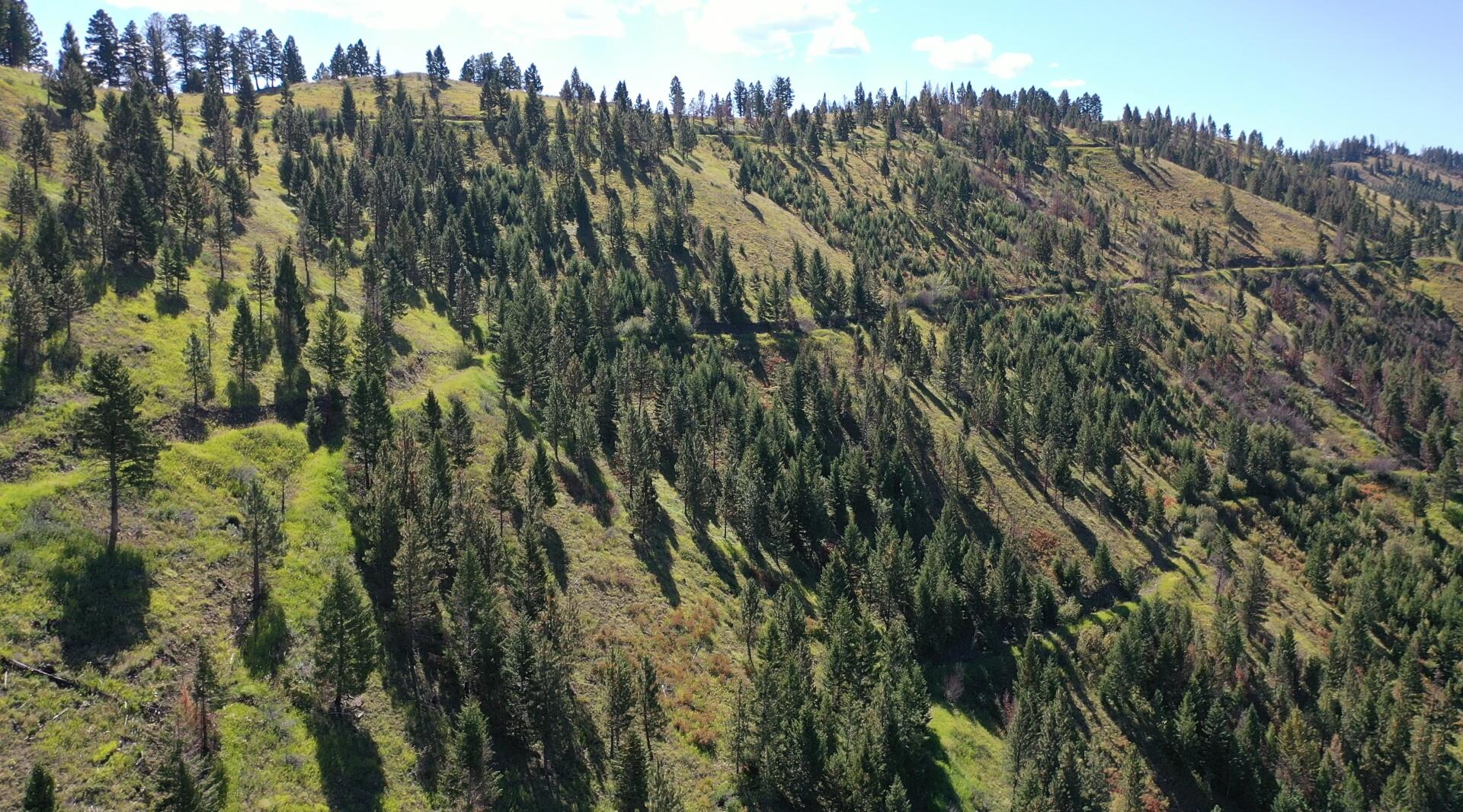 Tbd Pine Creek Rd Property Photo 22