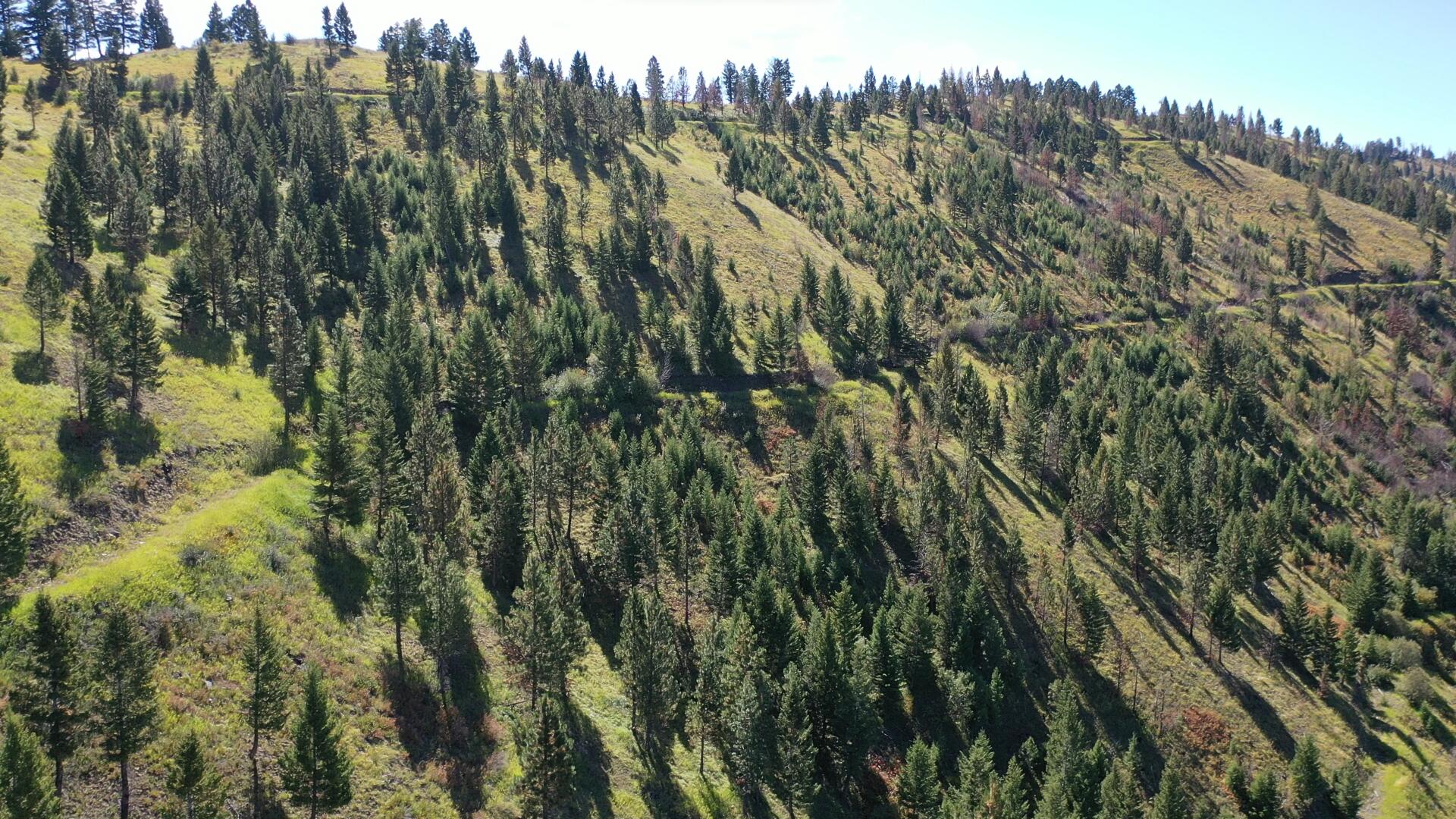 Tbd Pine Creek Rd Property Photo 23