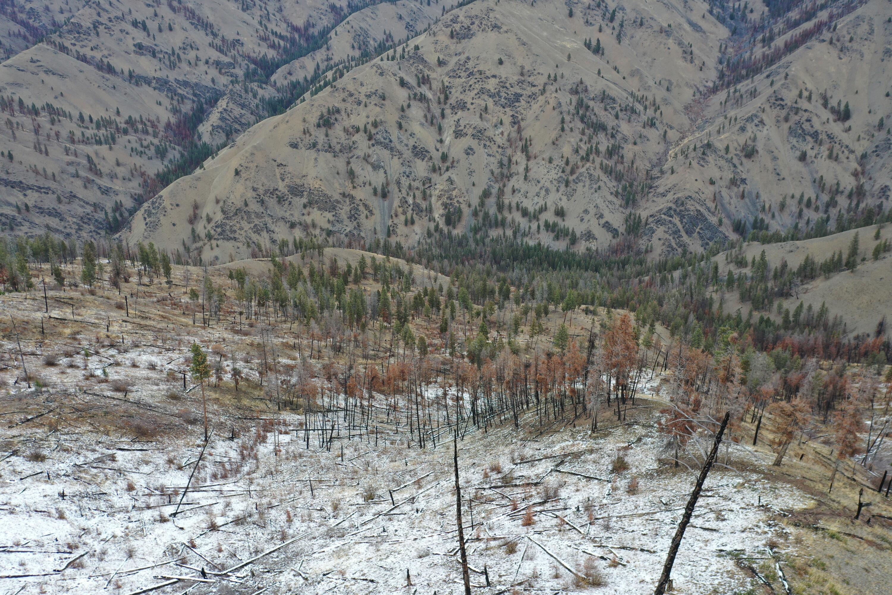Tbd Beaver Creek Rd Property Photo