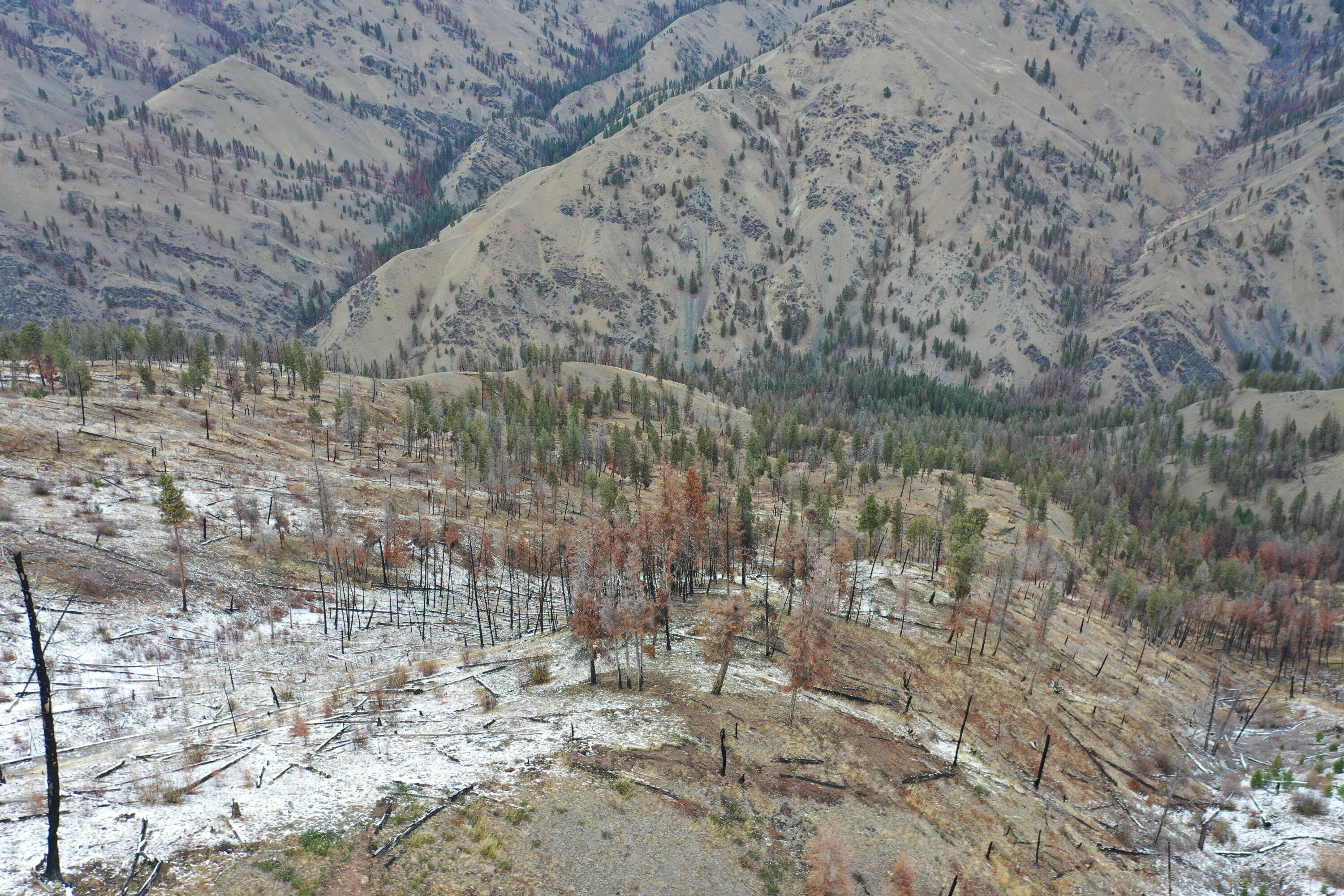 Tbd Beaver Creek Rd Property Photo 2