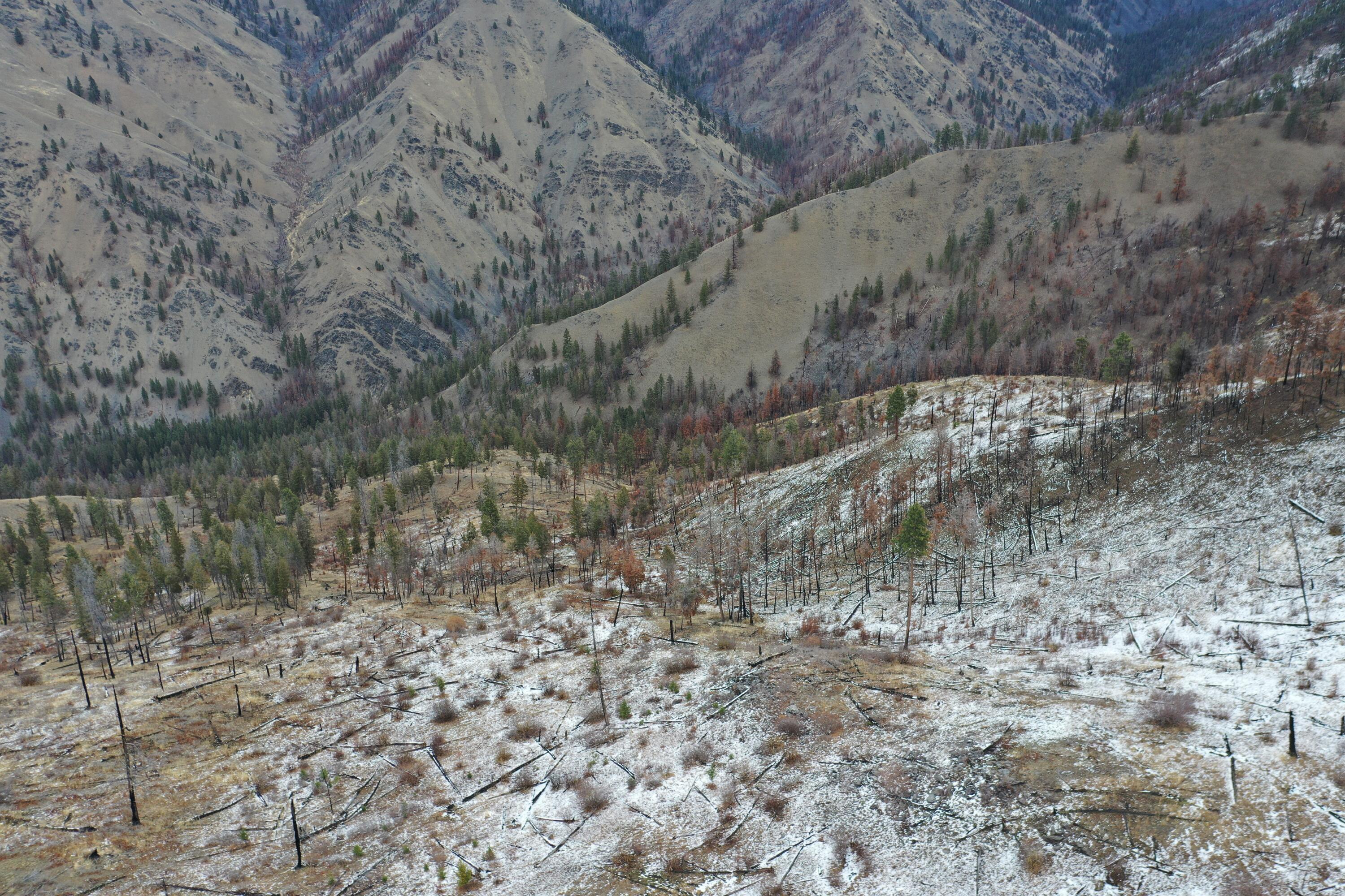 Tbd Beaver Creek Rd Property Photo 3