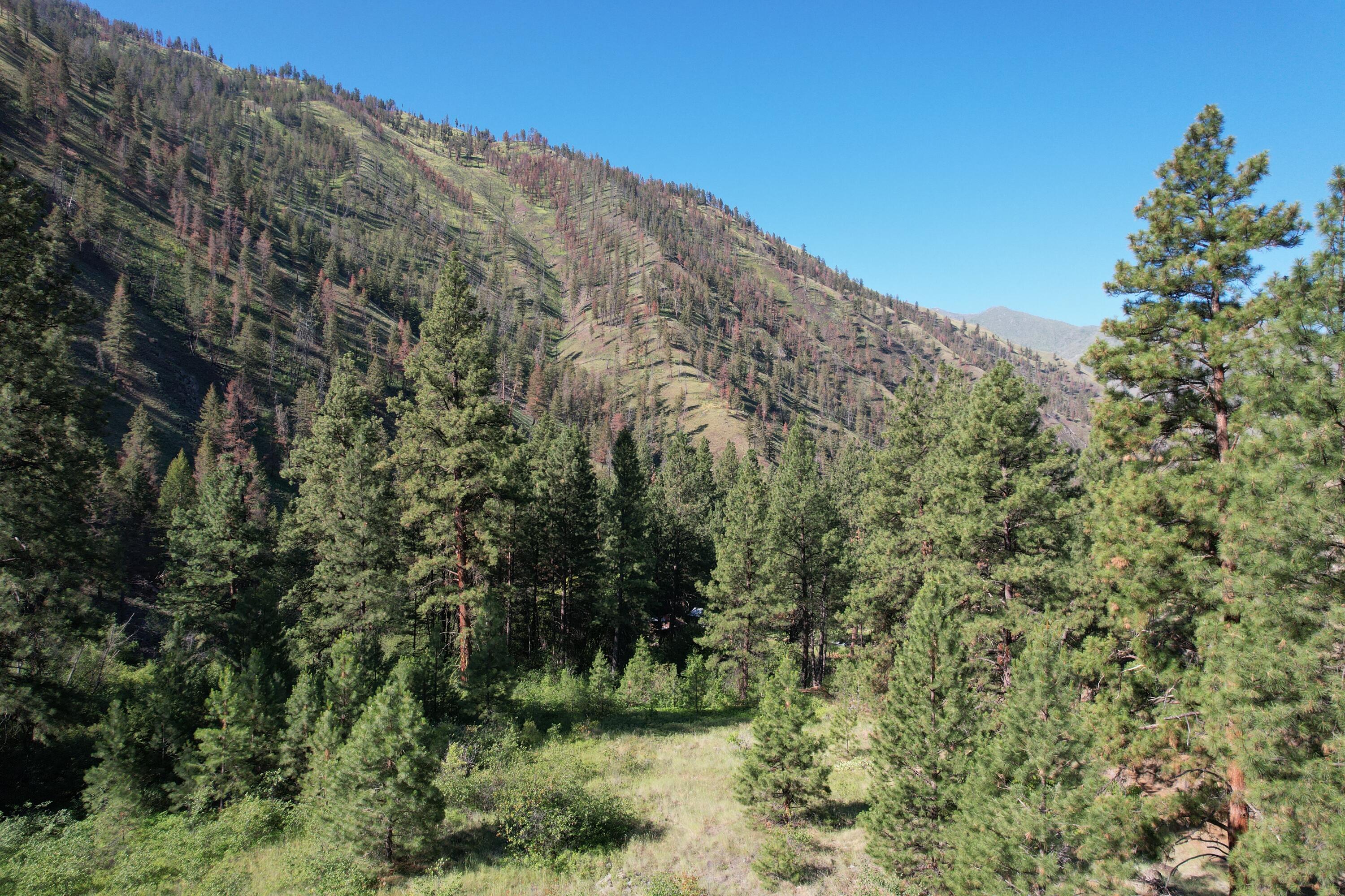 Tbd Beaver Creek Rd Property Photo 4