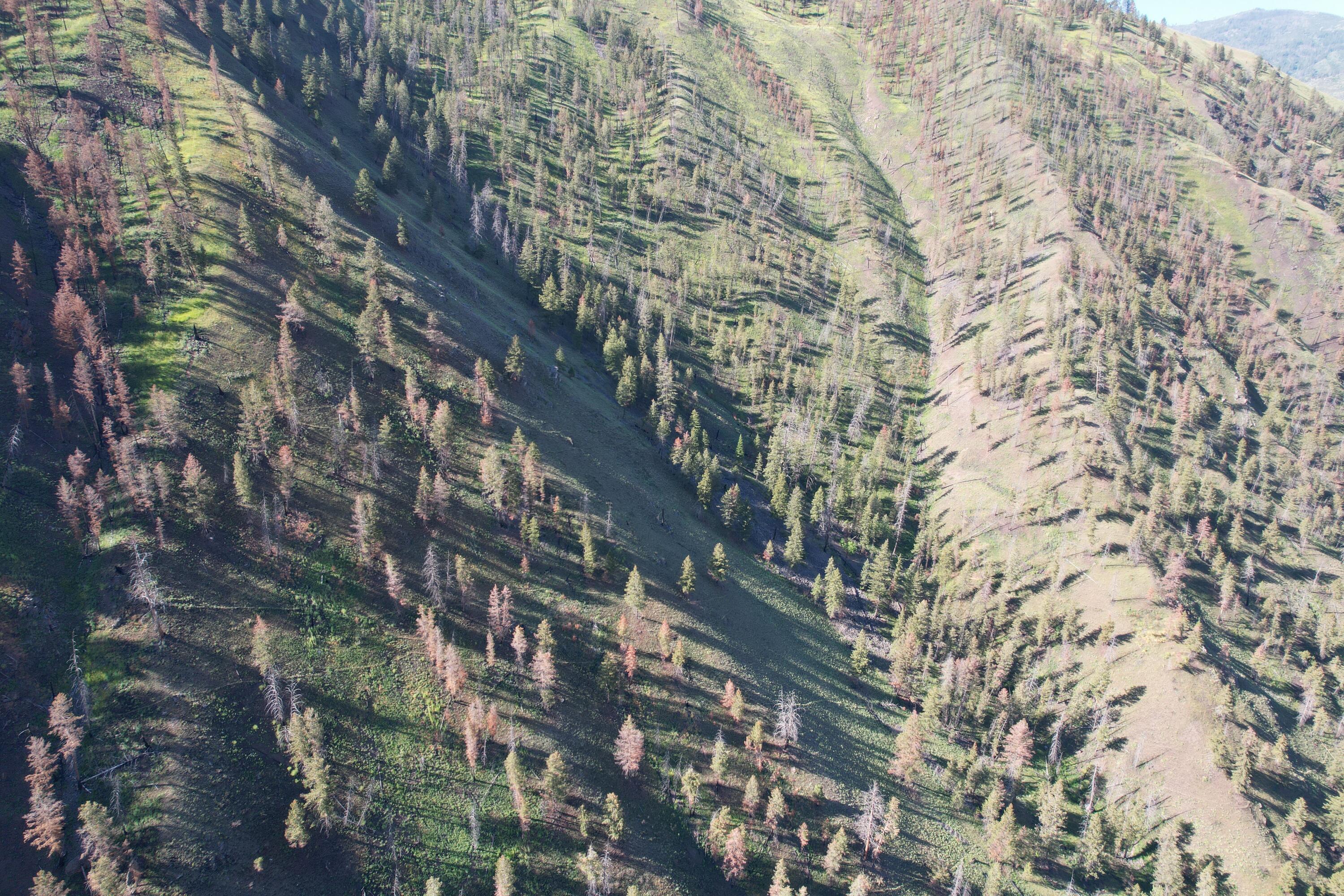 Tbd Beaver Creek Rd Property Photo 5
