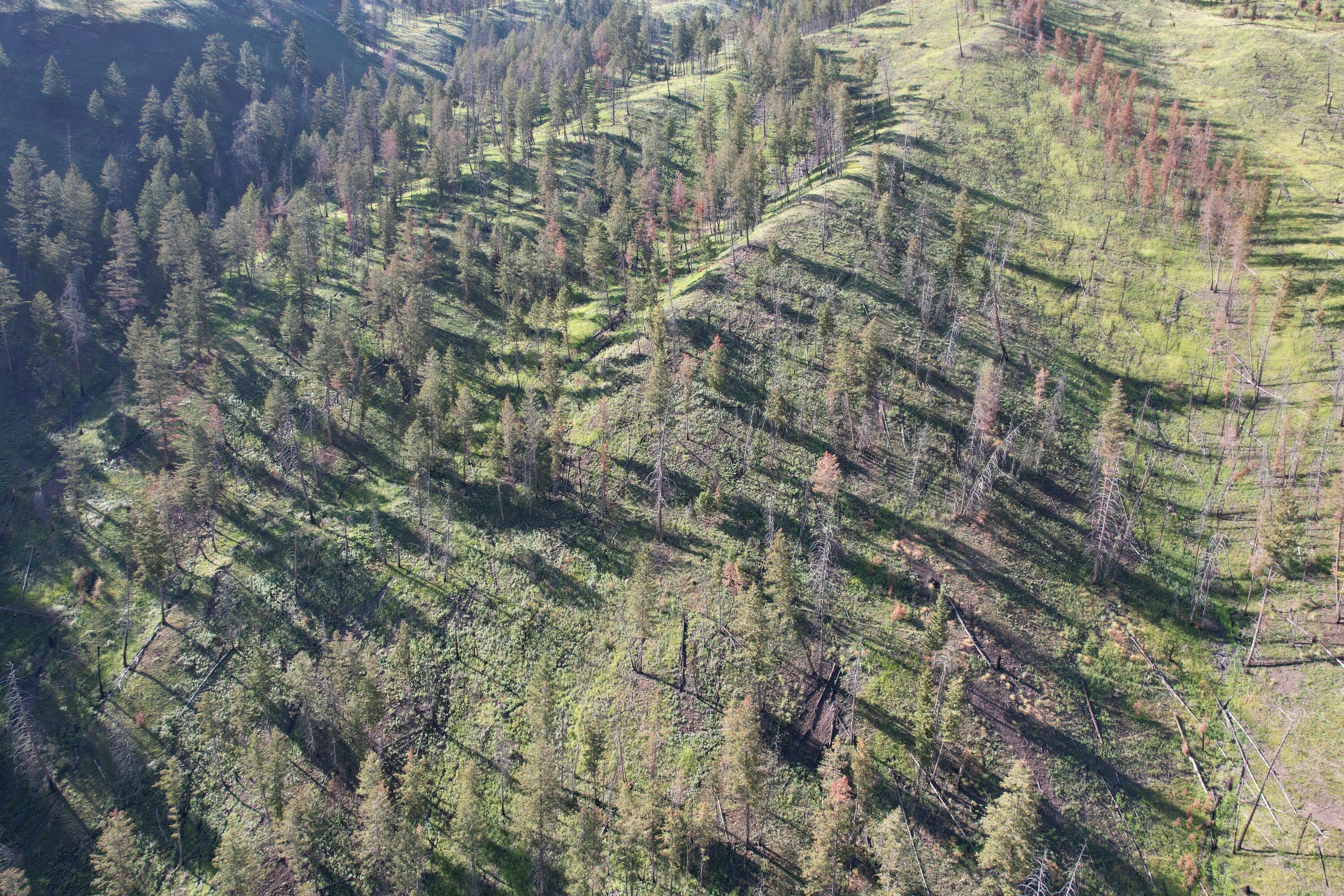 Tbd Beaver Creek Rd Property Photo 8
