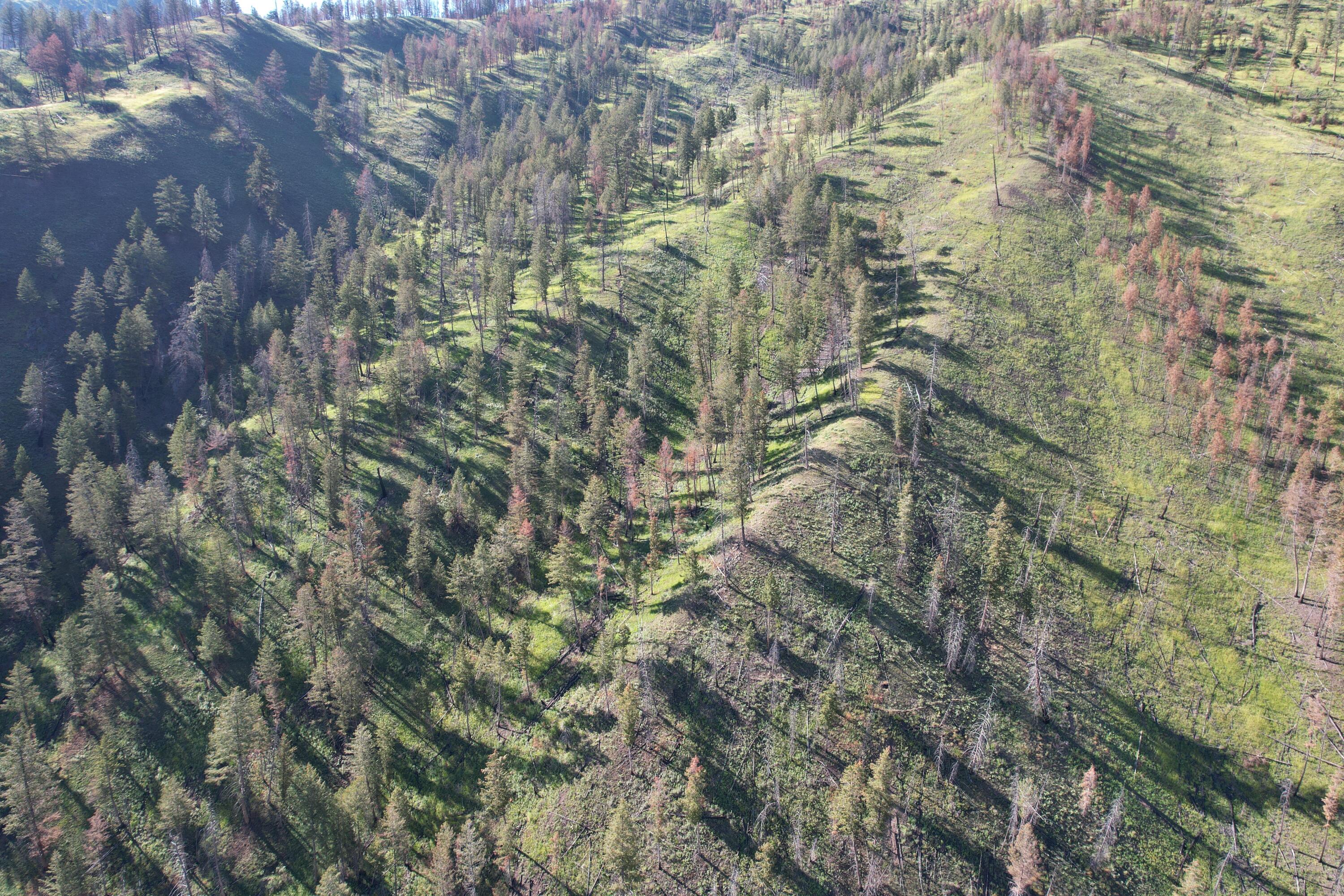 Tbd Beaver Creek Rd Property Photo 9