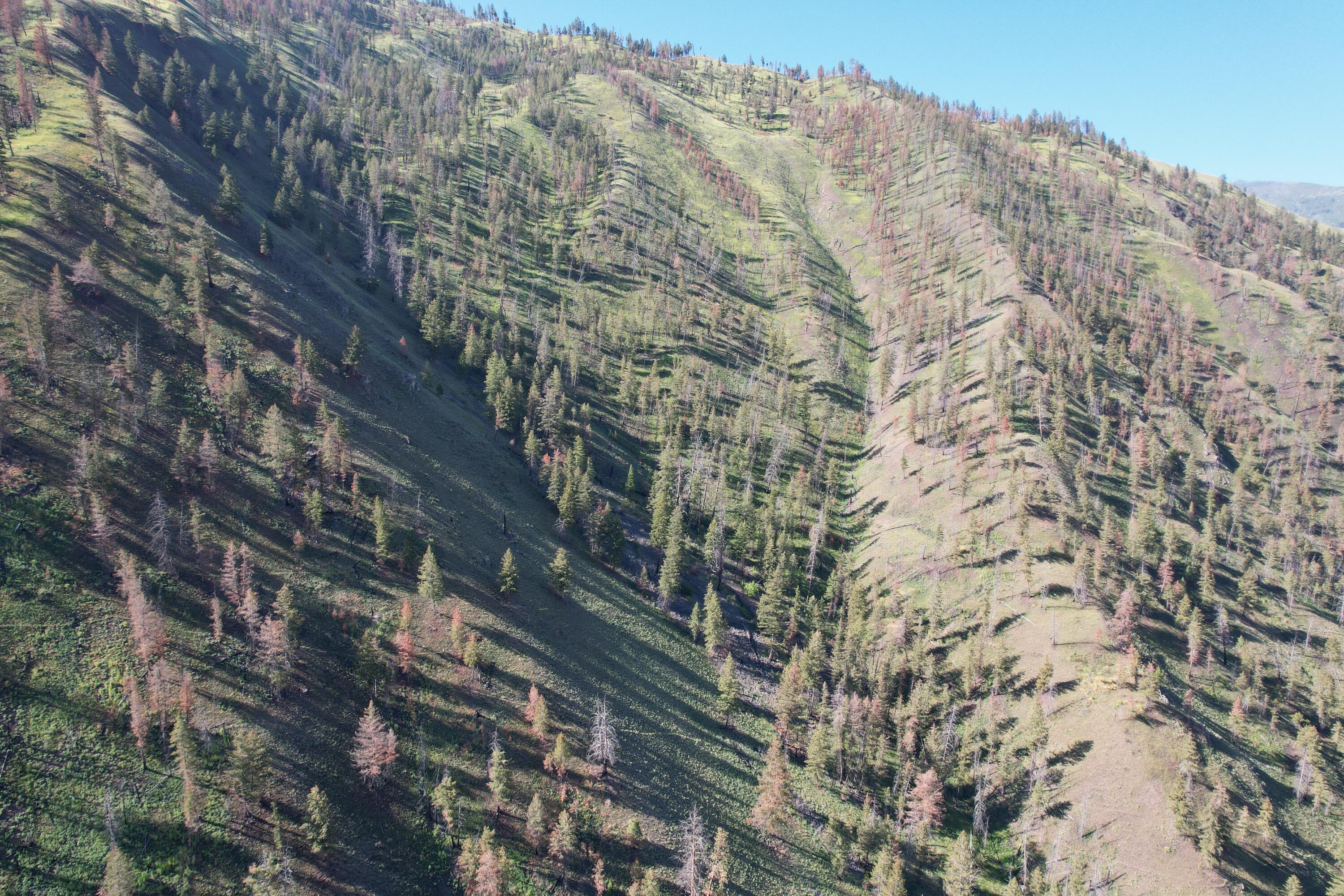 Tbd Beaver Creek Rd Property Photo 10