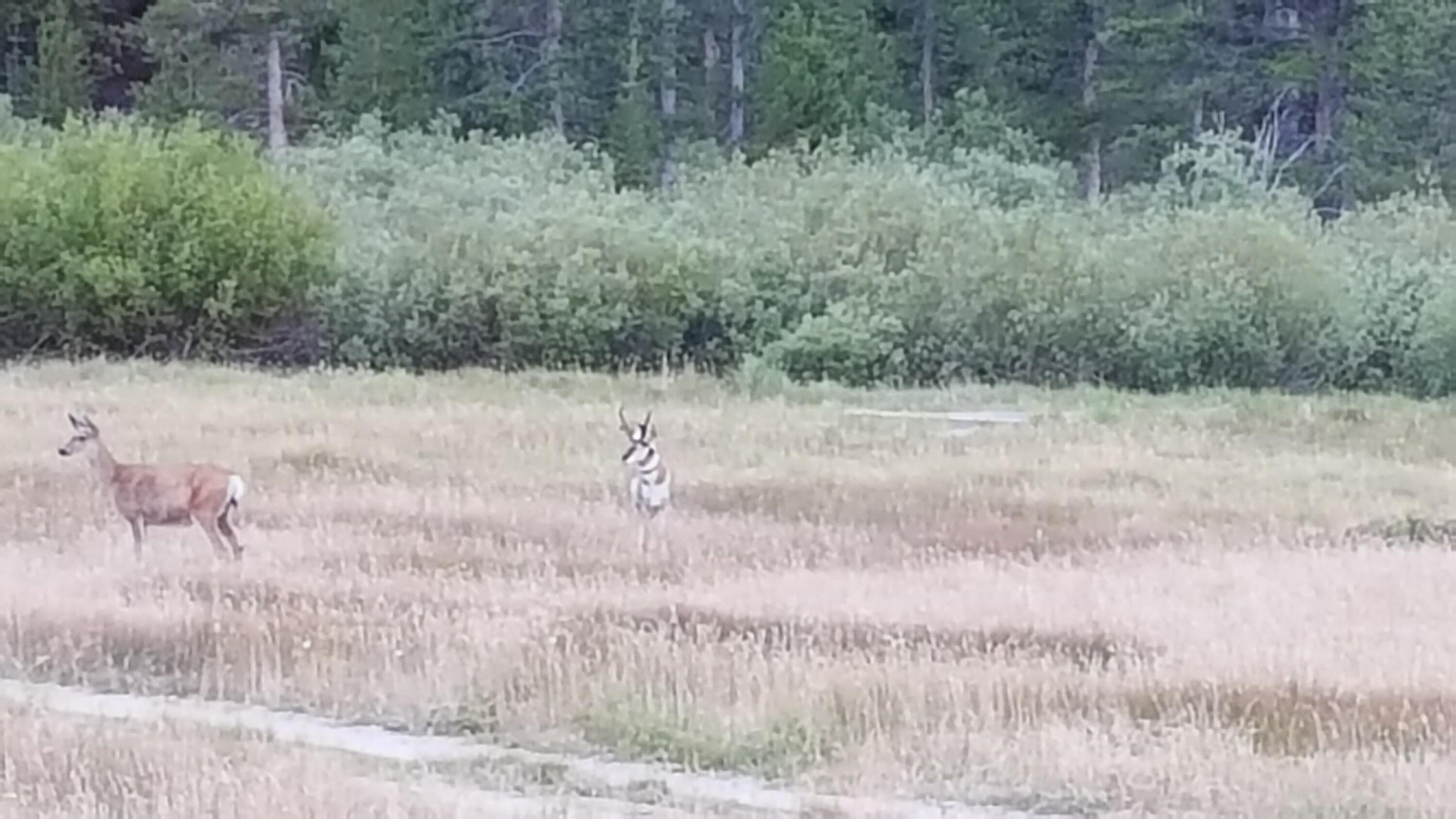Tbd Fisher Creek Loop Property Photo 5