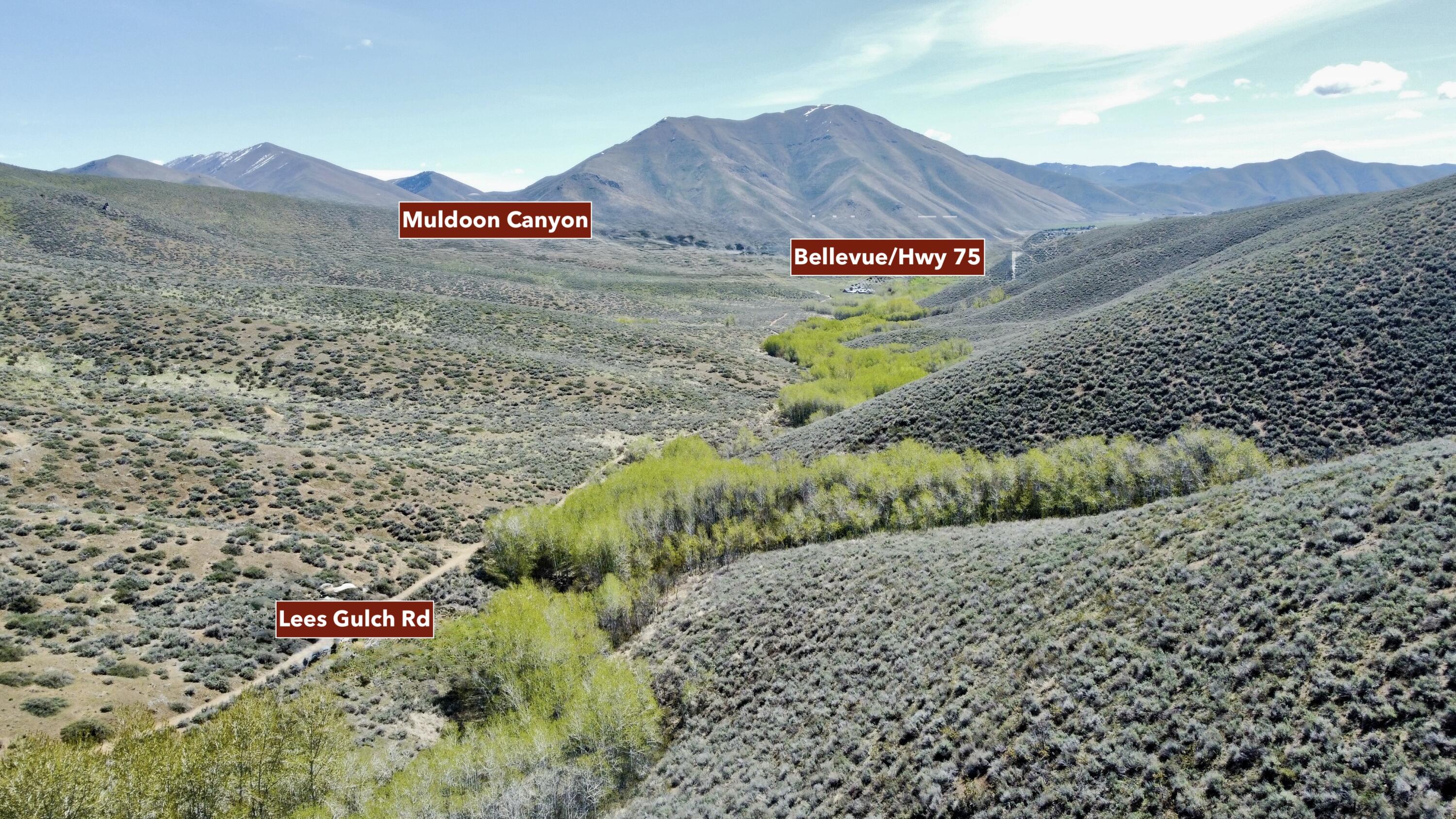 Tbd Lees Gulch Rd Property Photo 4