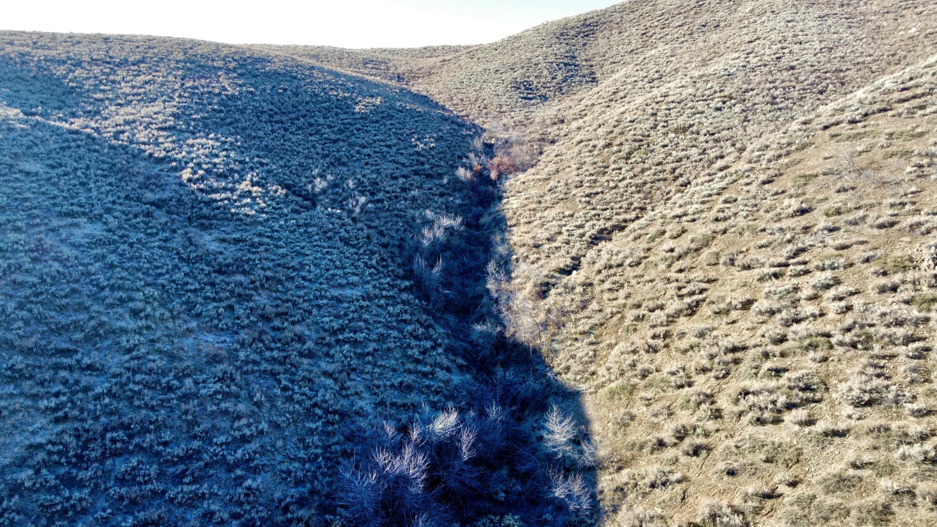 Tbd Lees Gulch Rd Property Photo 12