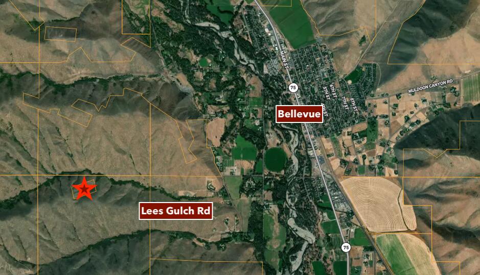 Tbd Lees Gulch Rd Property Photo 13