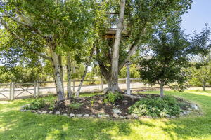 717 Buttercup Rd Property Photo 32
