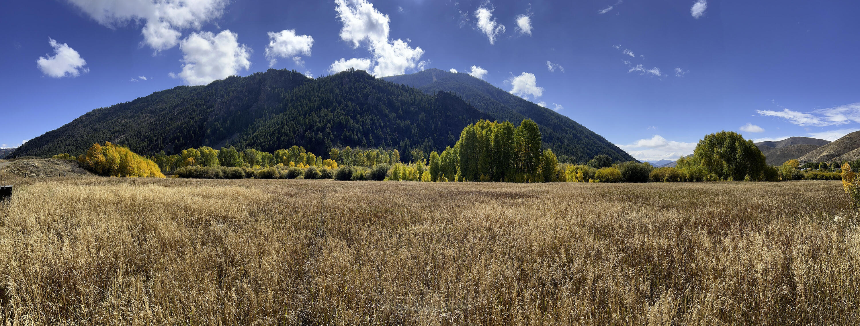 Tbd Lot 7 East Fork Rd Property Photo 1