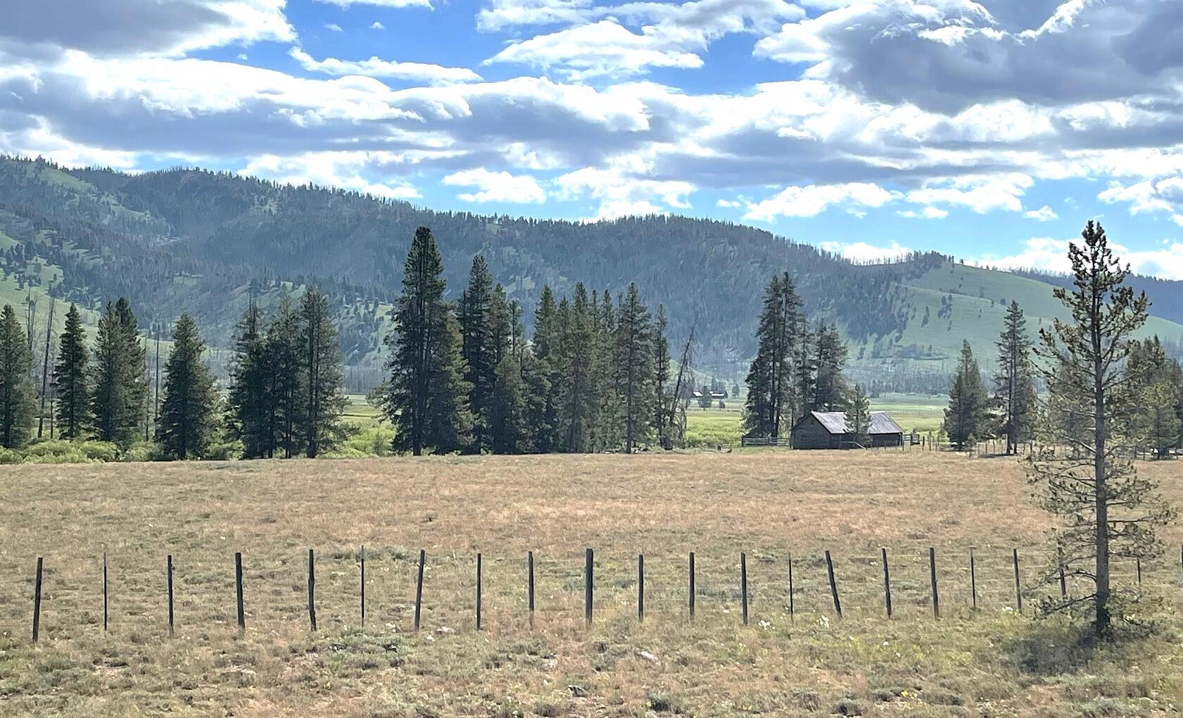 Highway 21 & Cow Camp Rd Property Photo 8