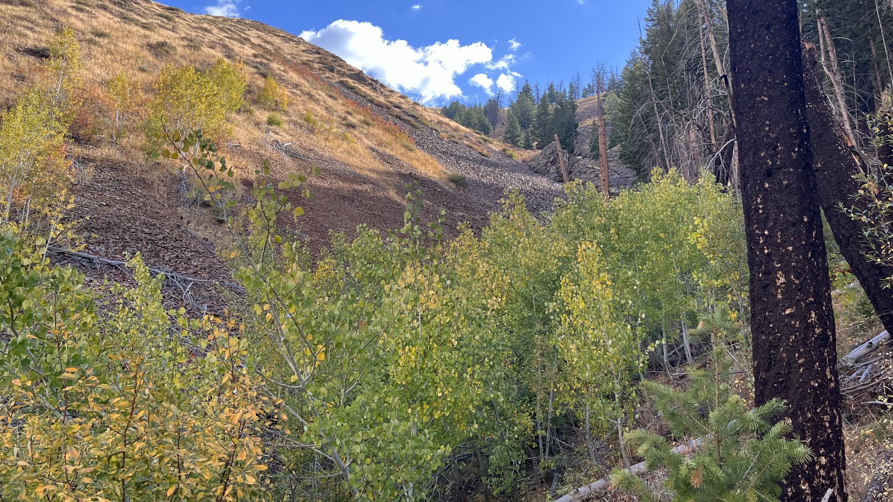 270 Greenhorn Gulch Rd Property Photo
