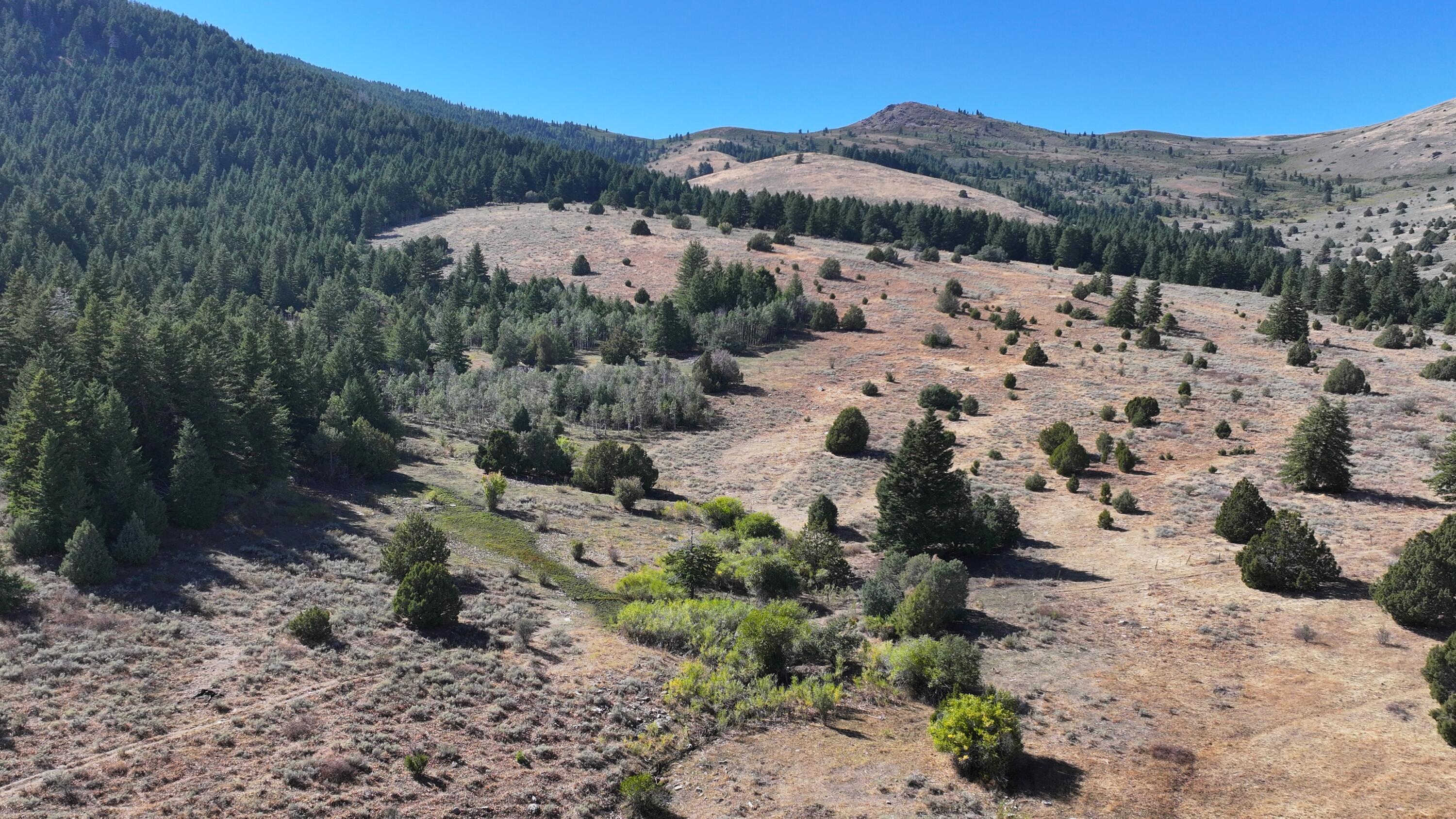 1200 S Lands Creek Rd Property Photo 1