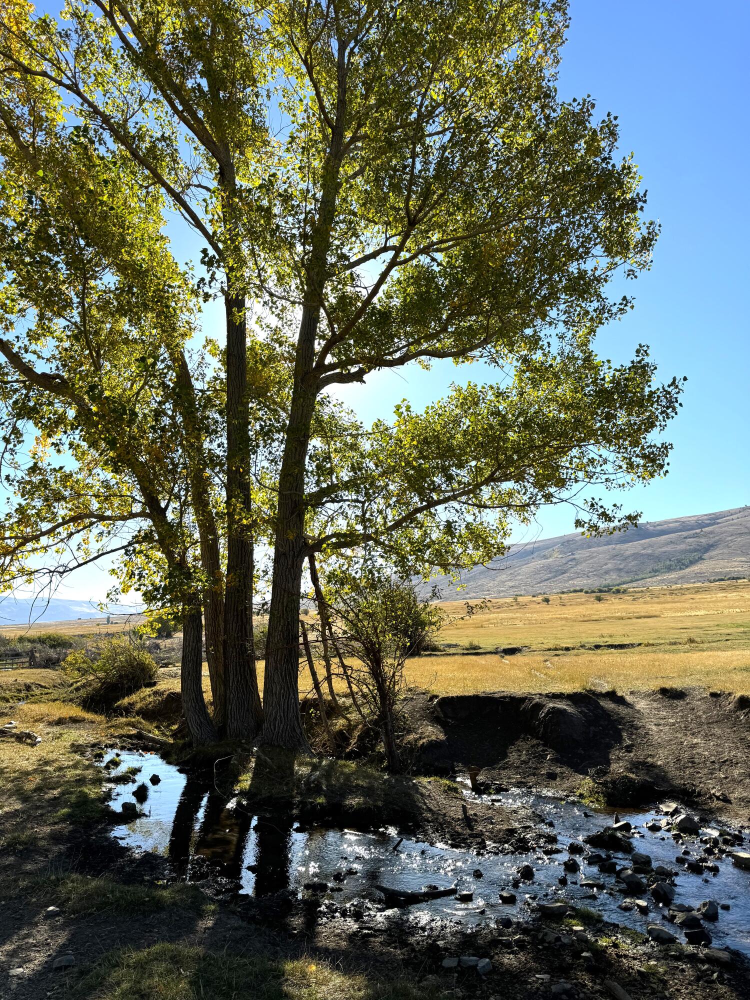 1200 S Lands Creek Rd Property Photo 6