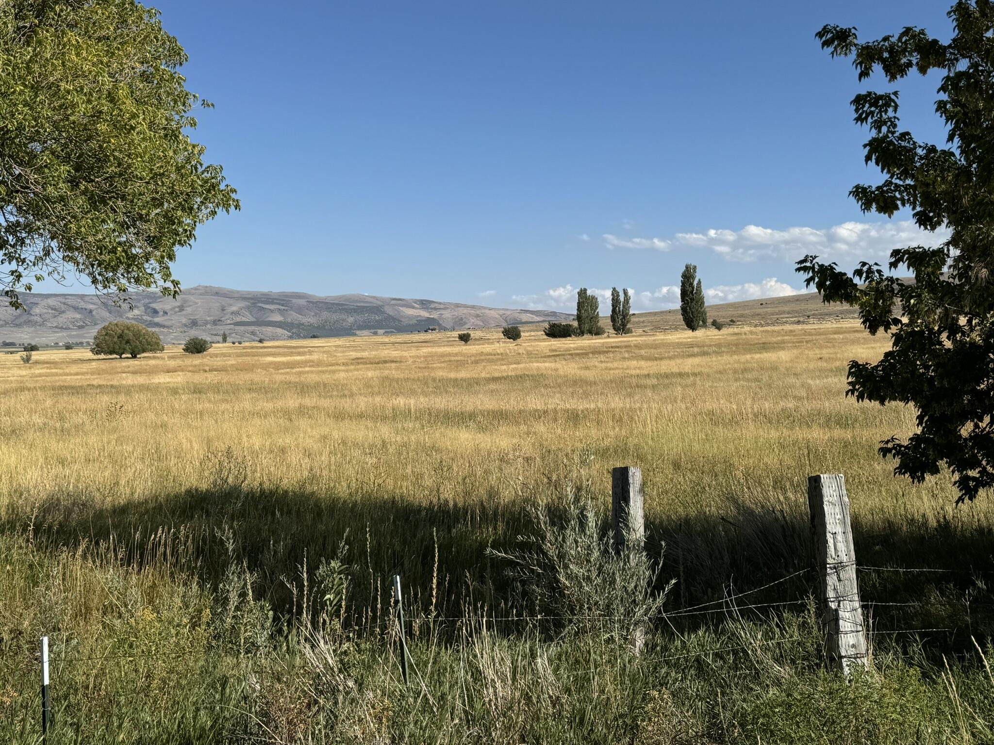 1200 S Lands Creek Rd Property Photo 8