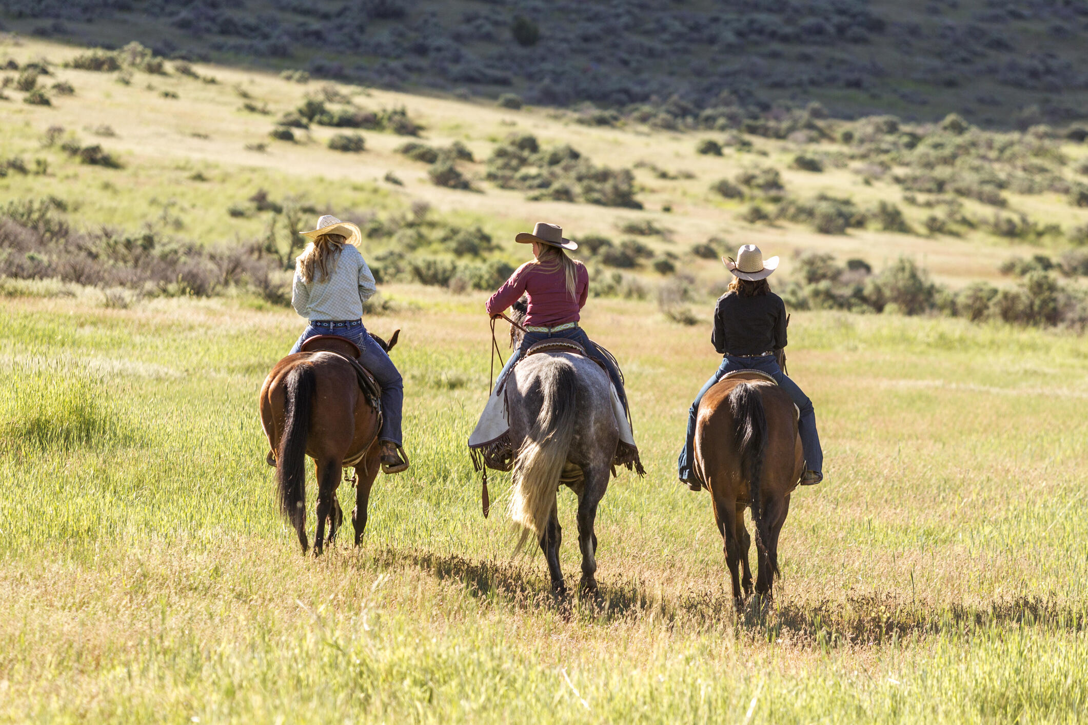 1200 S Lands Creek Rd Property Photo 9