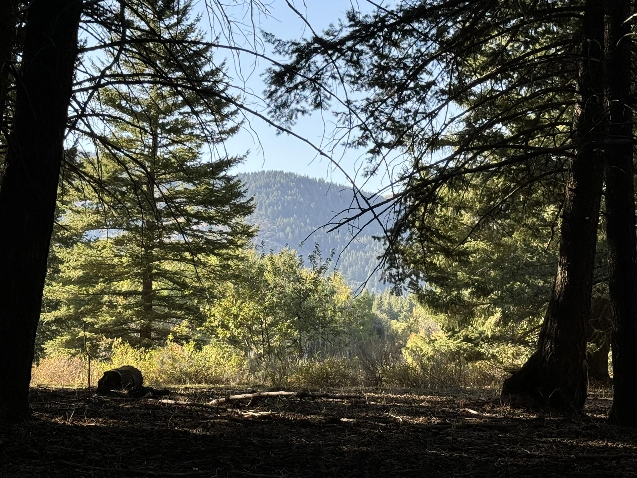 1200 S Lands Creek Rd Property Photo 12