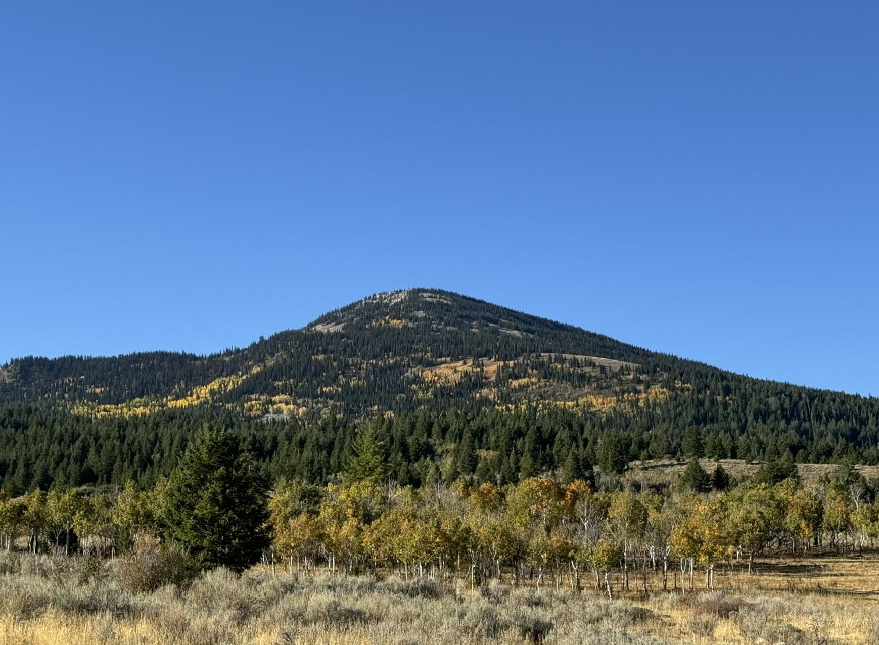 1200 S Lands Creek Rd Property Photo 16