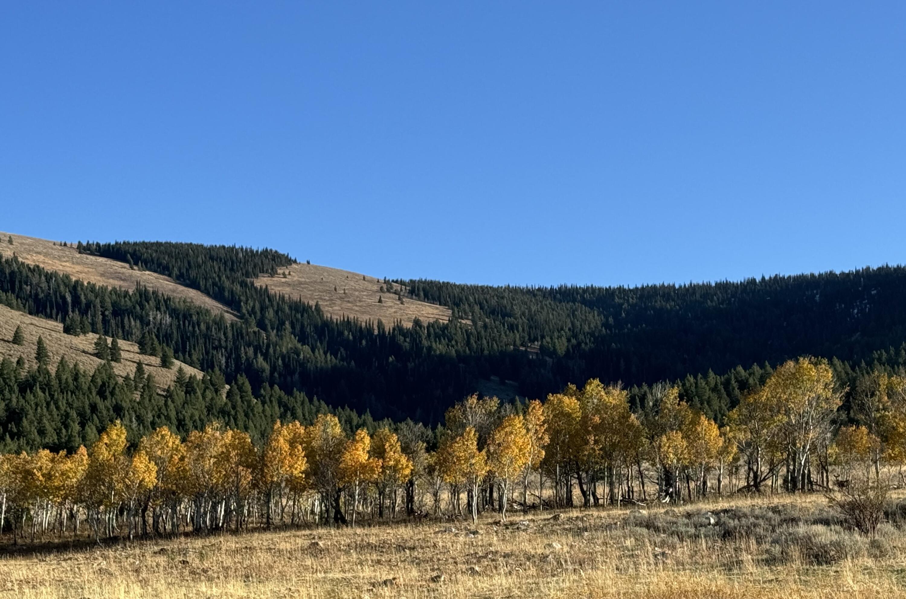 1200 S Lands Creek Rd Property Photo 17