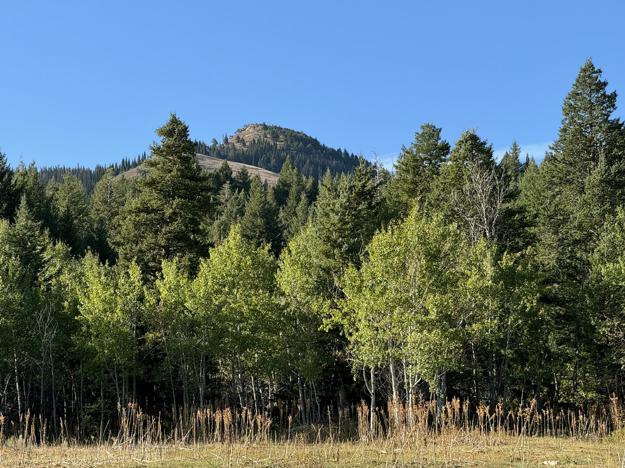 1200 S Lands Creek Rd Property Photo 18