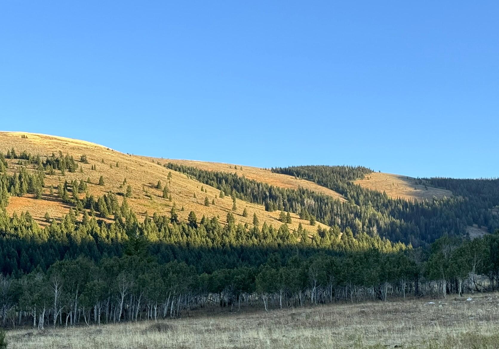 1200 S Lands Creek Rd Property Photo 19