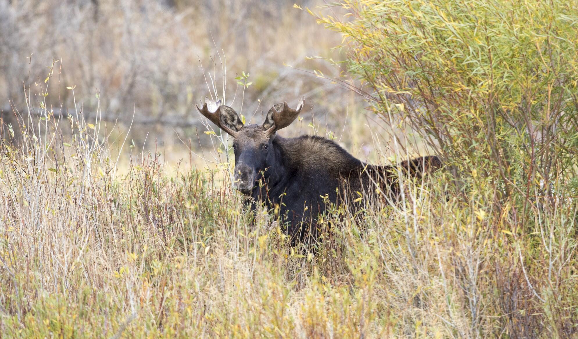 1200 S Lands Creek Rd Property Photo 21
