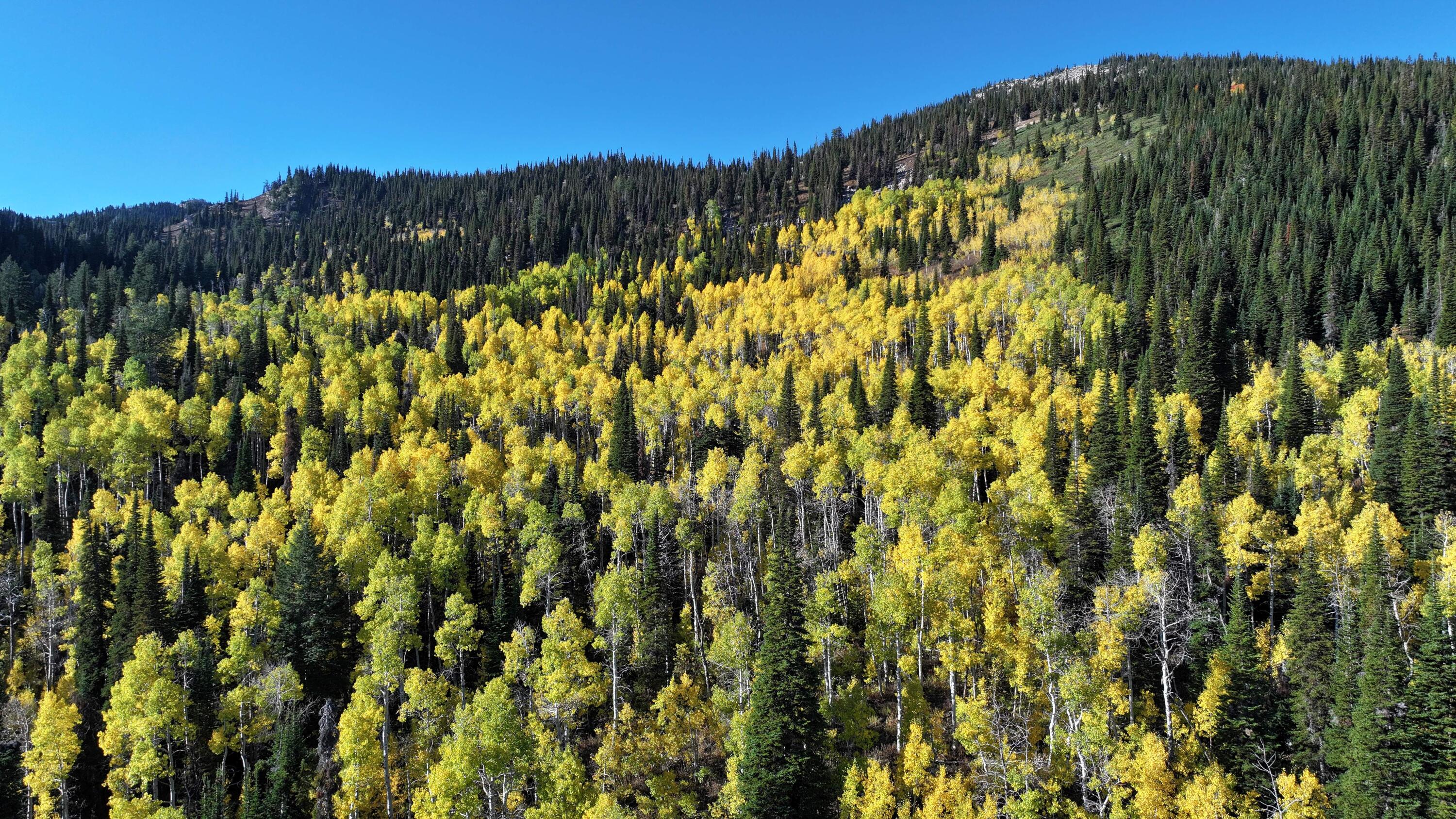 1200 S Lands Creek Rd Property Photo 22