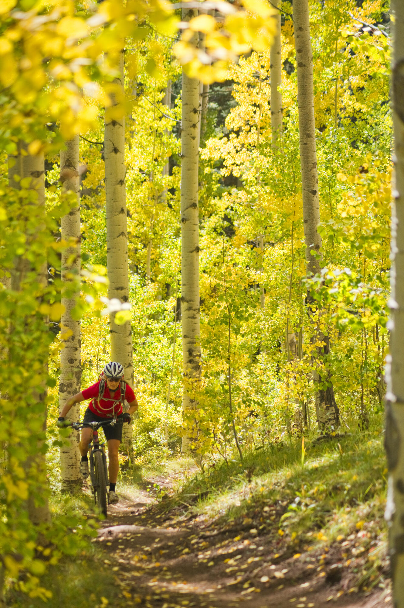 1200 S Lands Creek Rd Property Photo 23