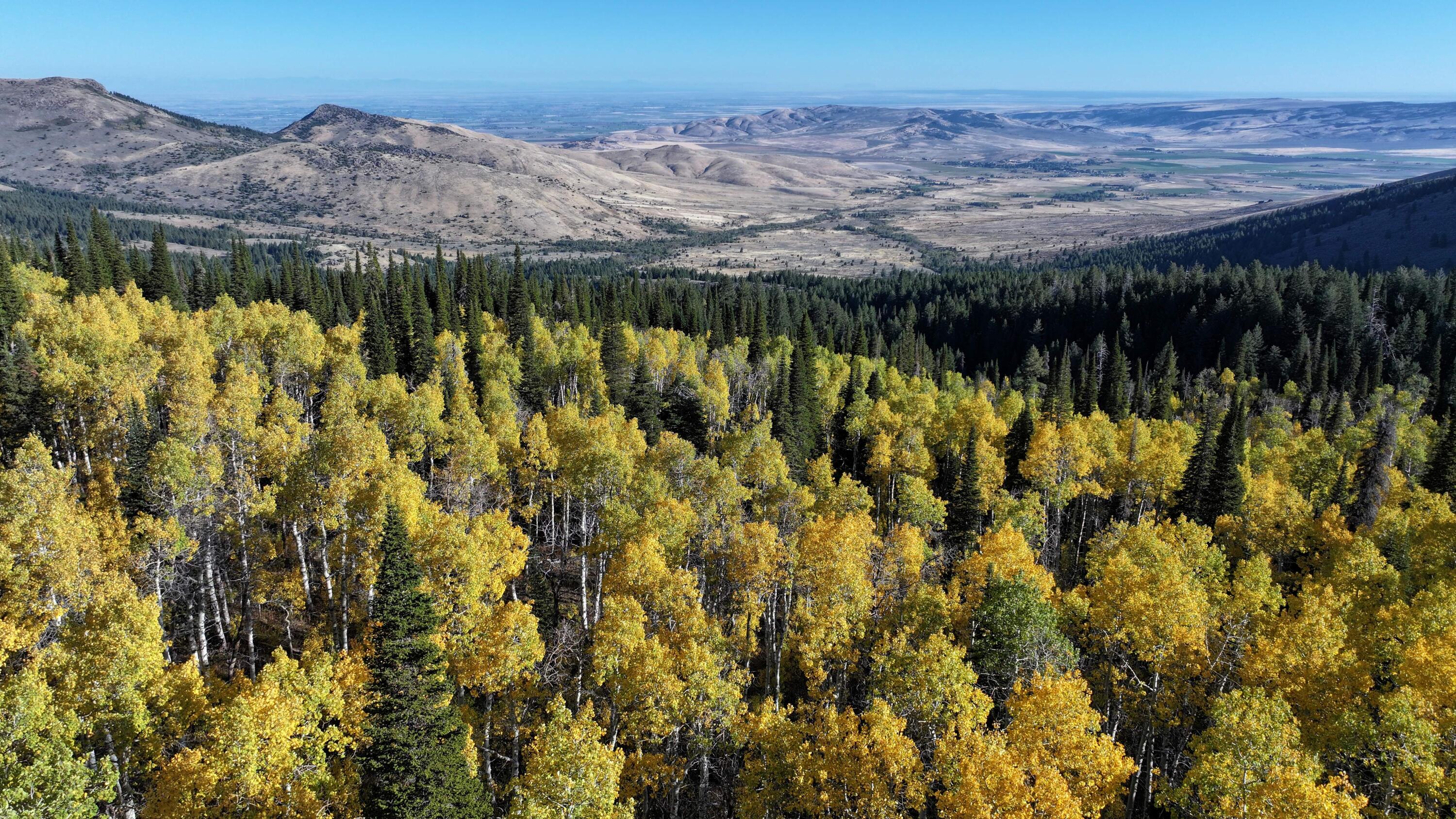 1200 S Lands Creek Rd Property Photo 26