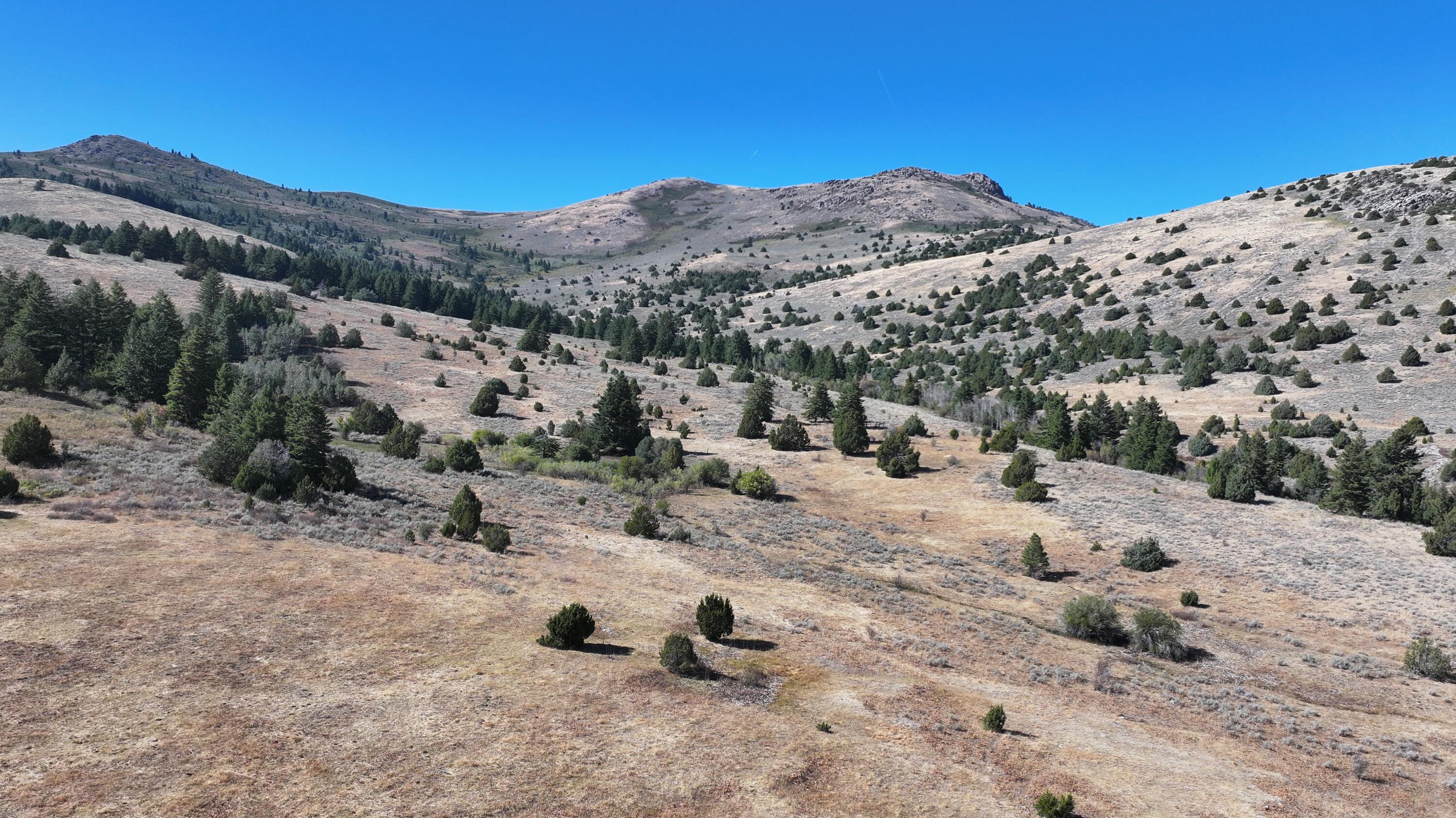 1200 S Lands Creek Rd Property Photo 28