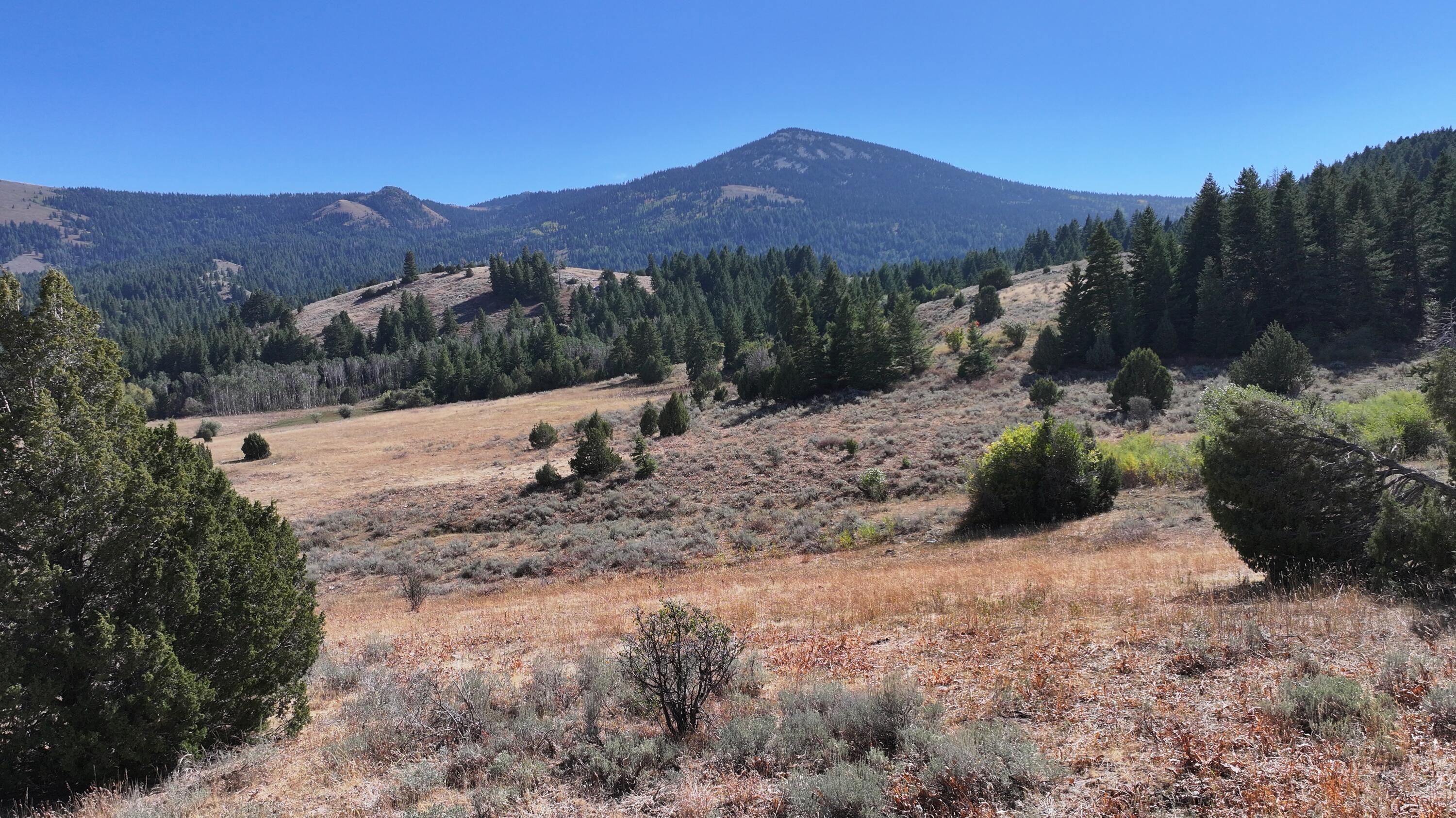 1200 S Lands Creek Rd Property Photo 29