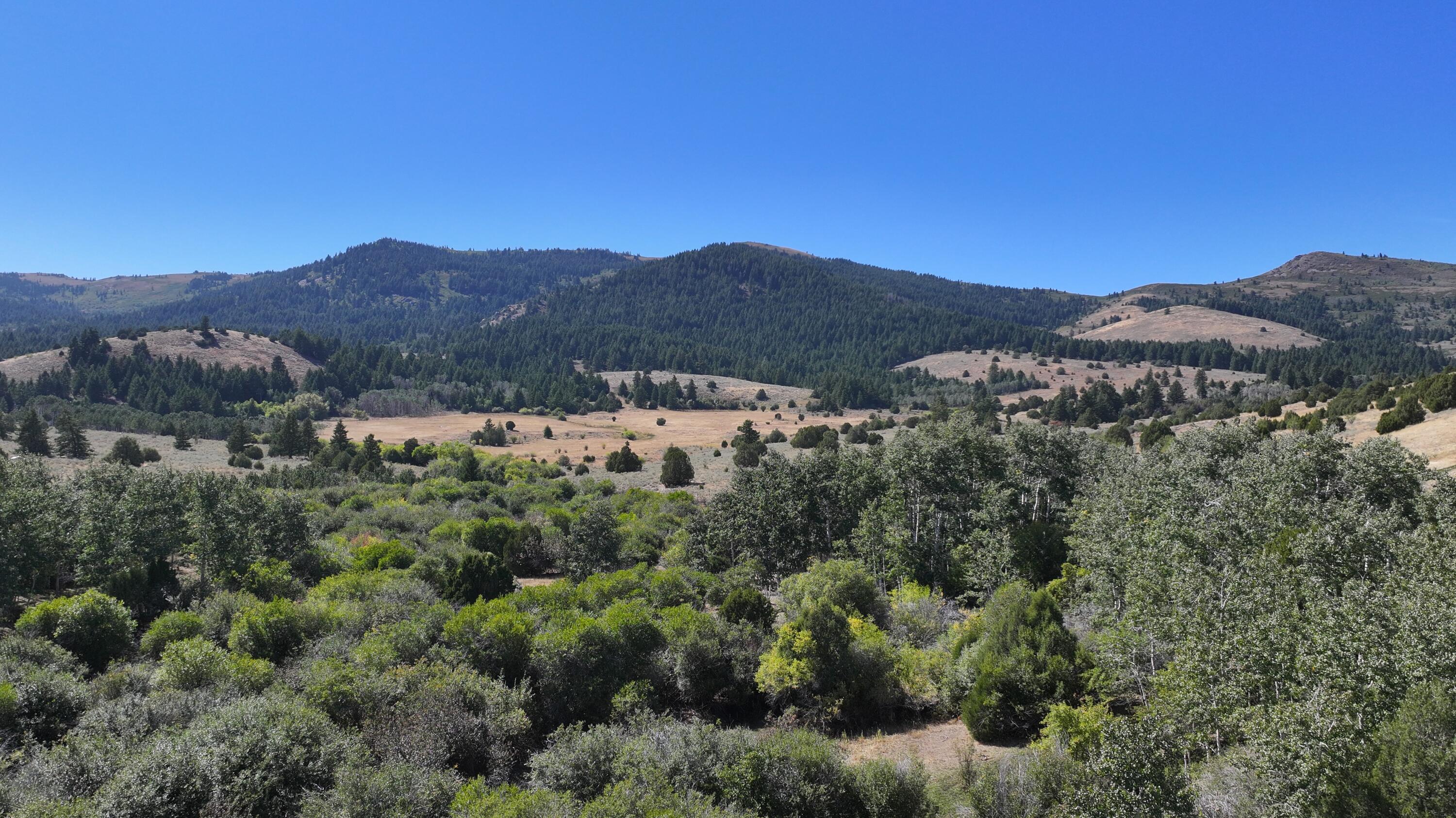 1200 S Lands Creek Rd Property Photo 31