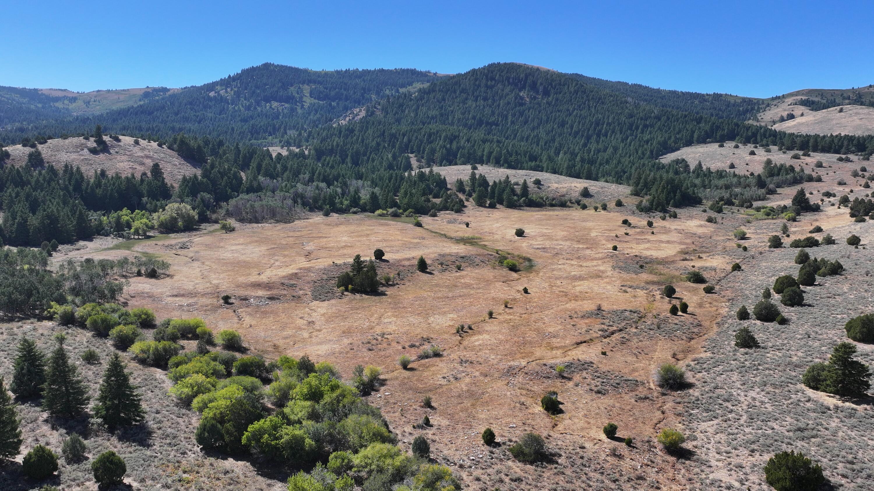 1200 S Lands Creek Rd Property Photo 33