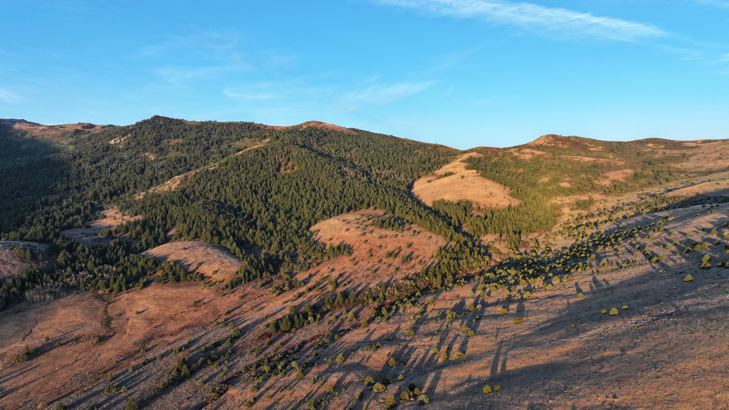 1200 S Lands Creek Rd Property Photo 34