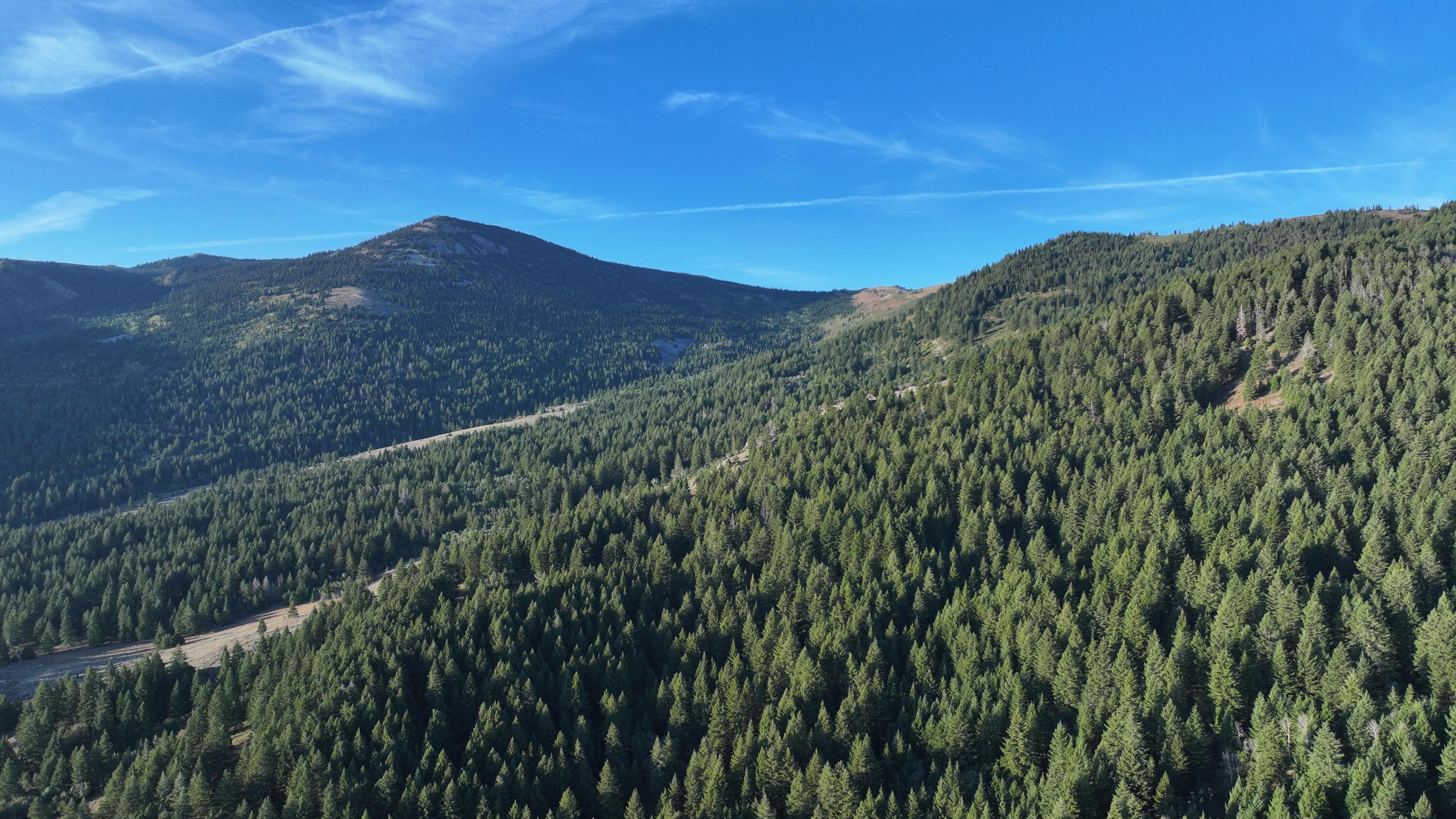 1200 S Lands Creek Rd Property Photo 37